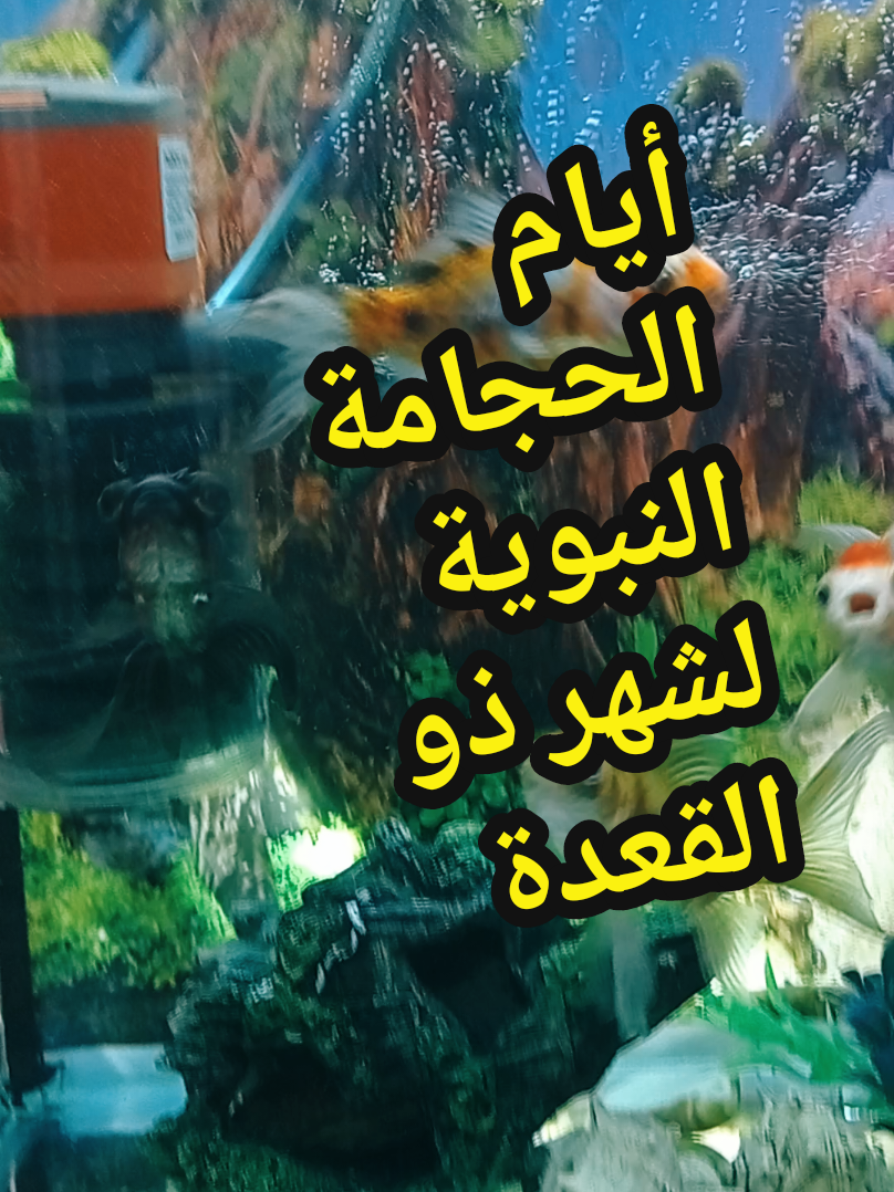 @مركز الأصيل للعناية الجسدية 2