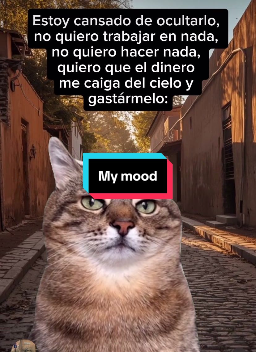 @Patricia Mathe