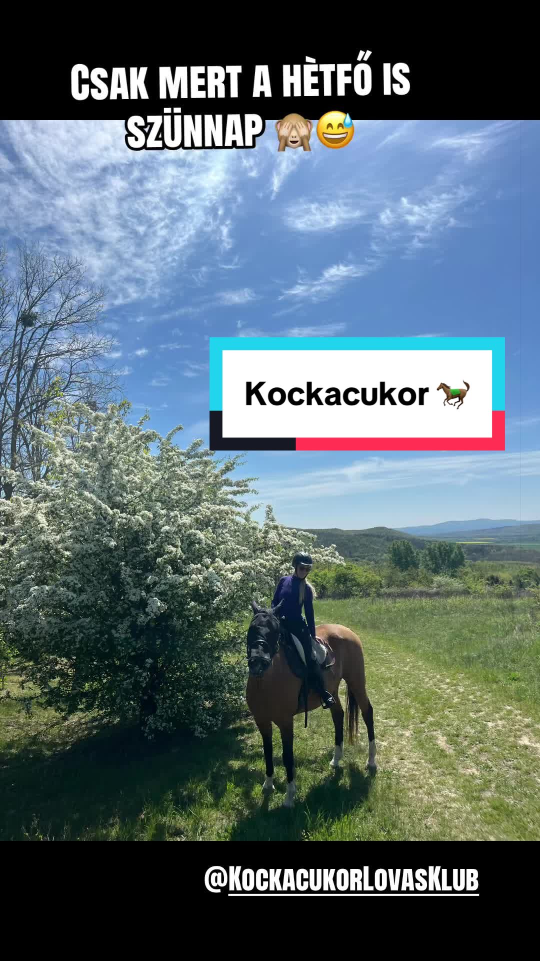 @Sík Frida
