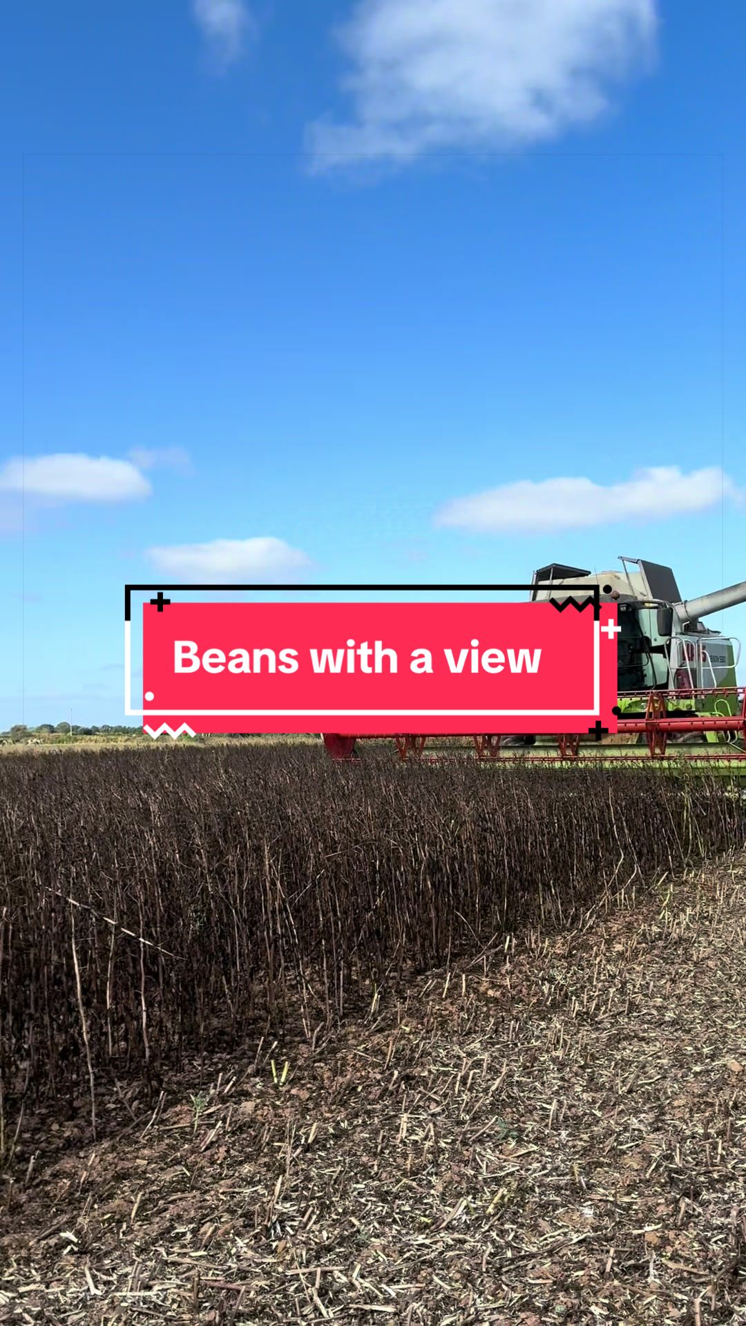 @Let’s farm Ireland