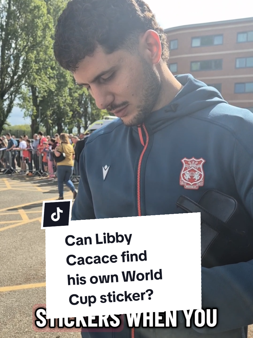 @Jack of All Trading