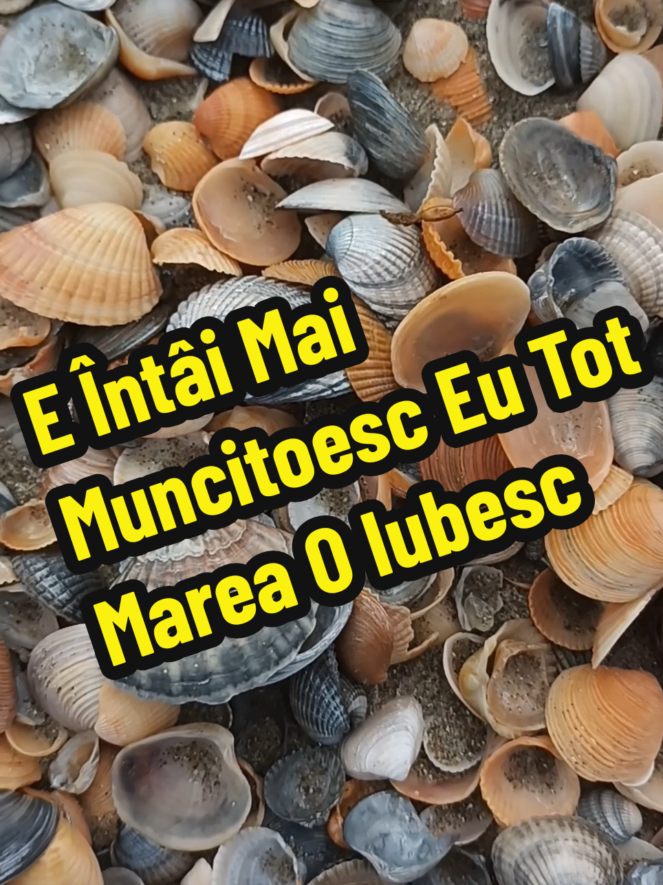 @👉 Băiatul De La Mare 🌊