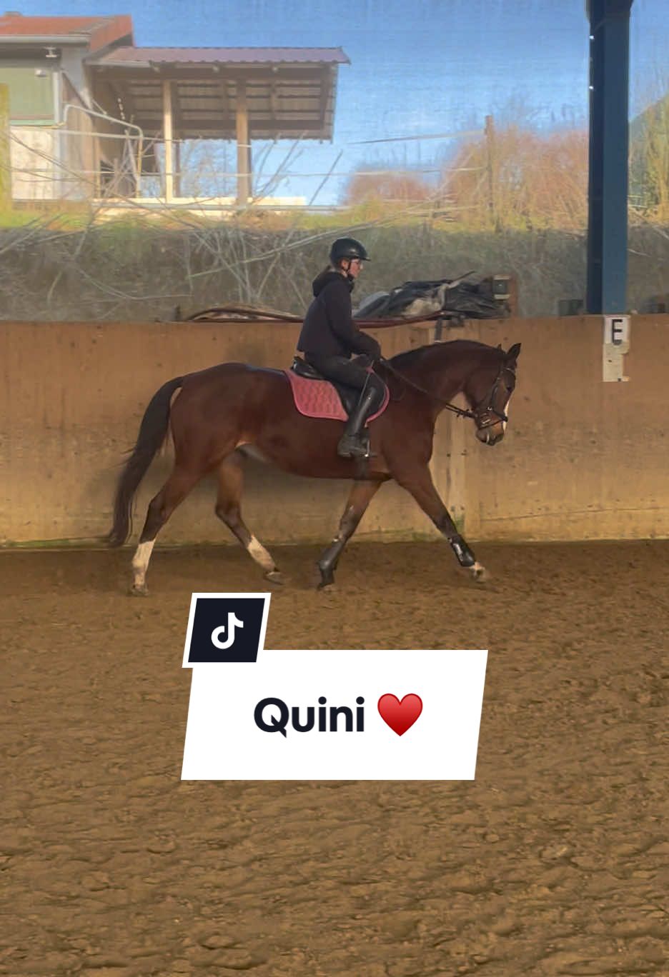 @reiterhofalteheld