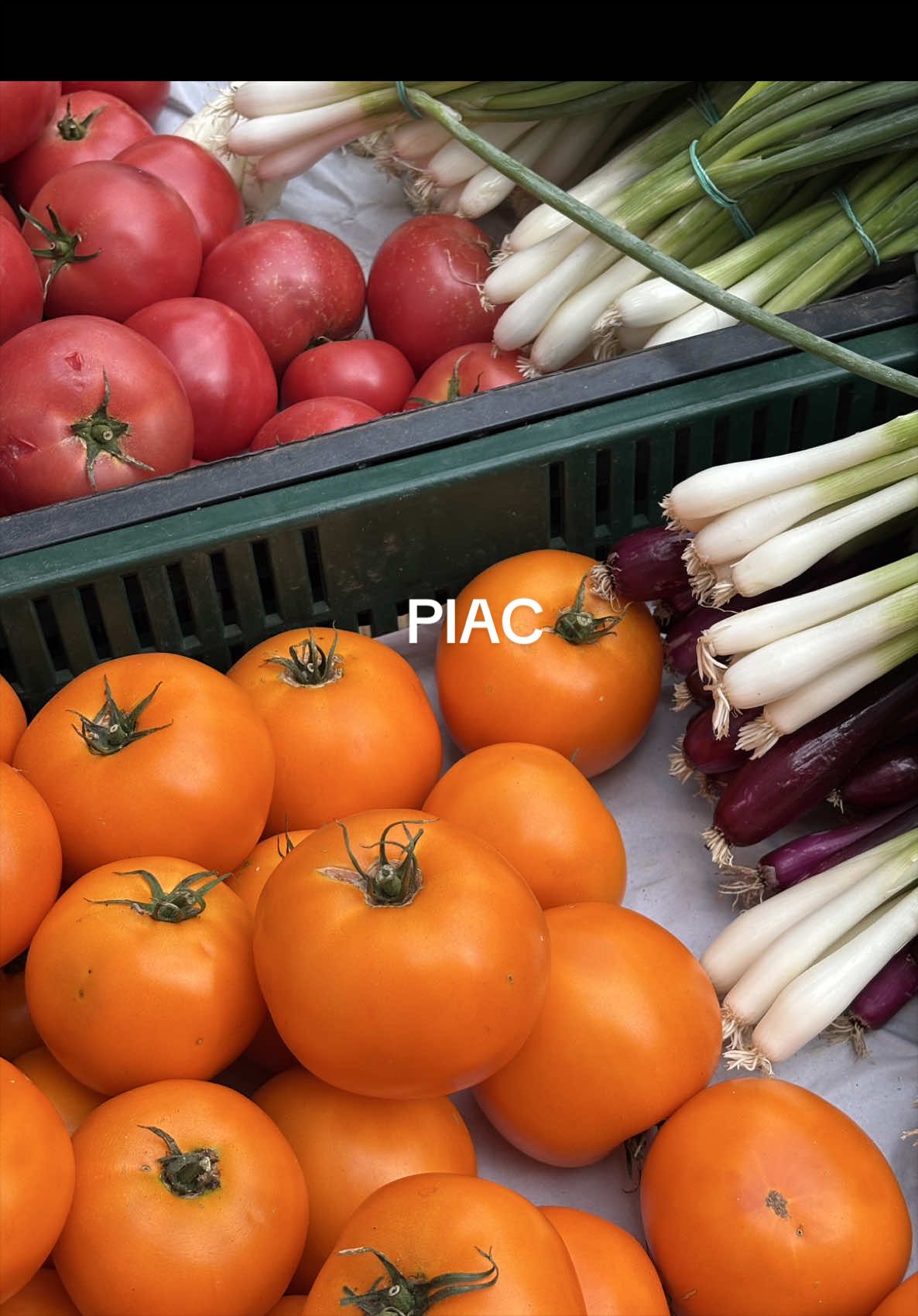 @kall&oacute;sno&eacute;mi