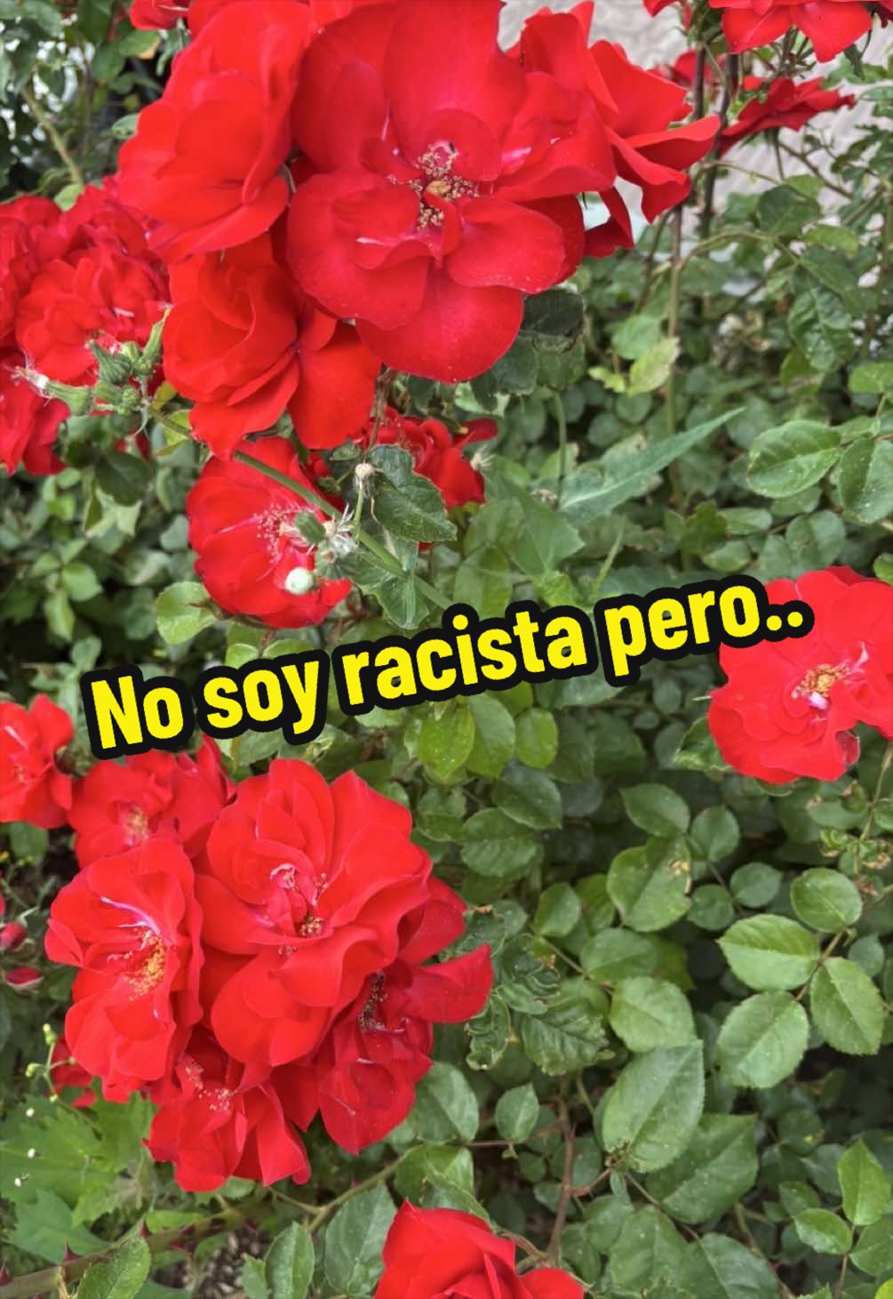 @La hibeta 🐿️