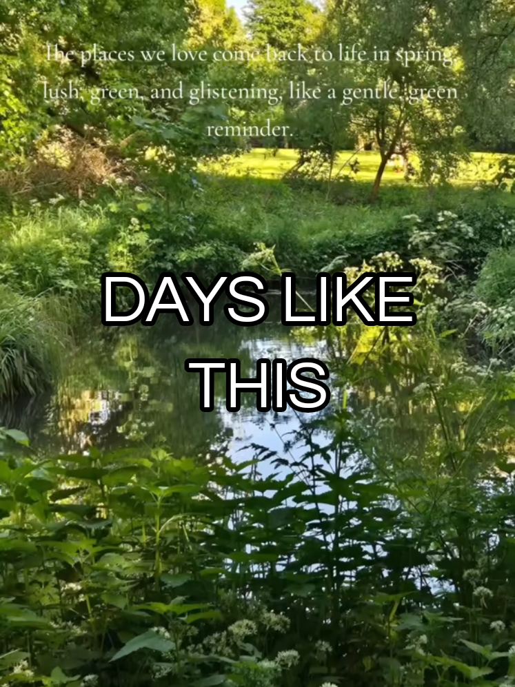 @MissChic