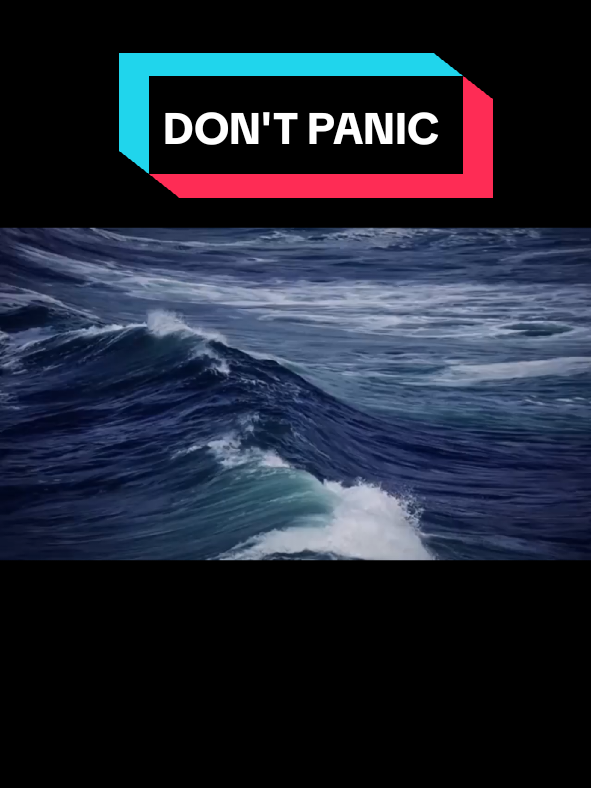 @Tiktok Creator Pilot Program