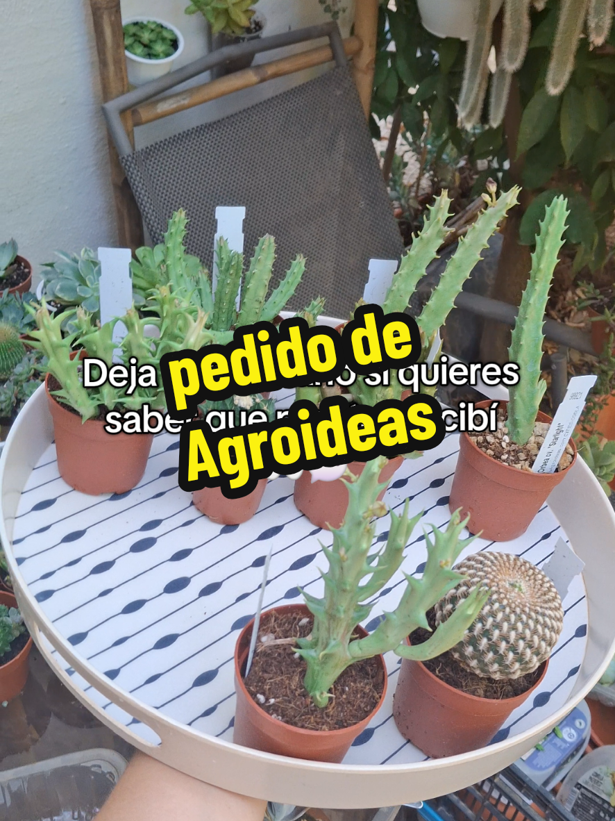 @Succulent_ninja