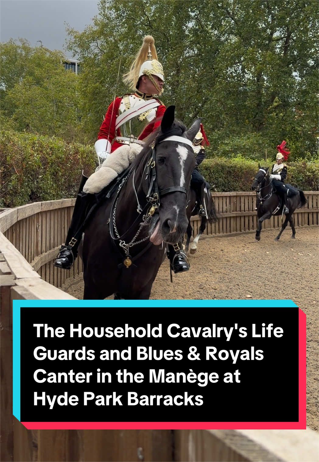 @King’s Guard Tours