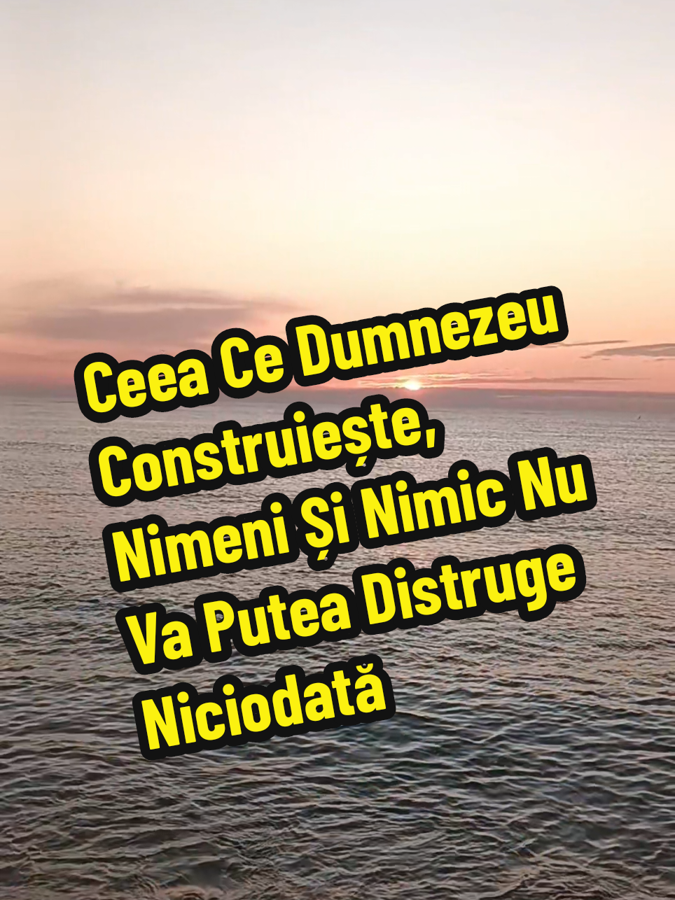 @👉 Băiatul De La Mare 🌊