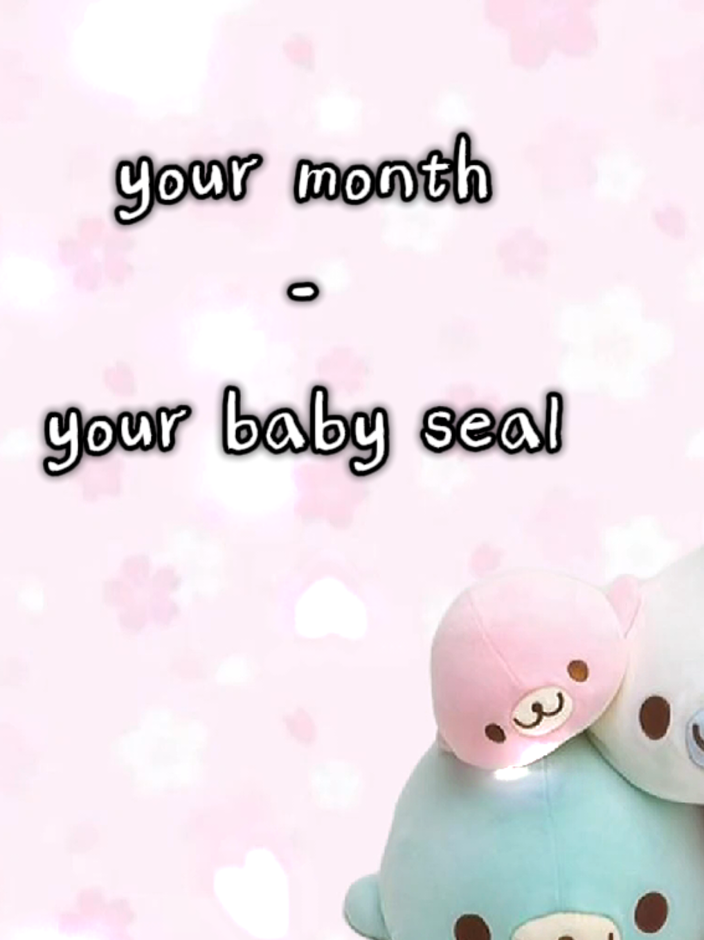 @🩷🎀 seal 🦭🩷