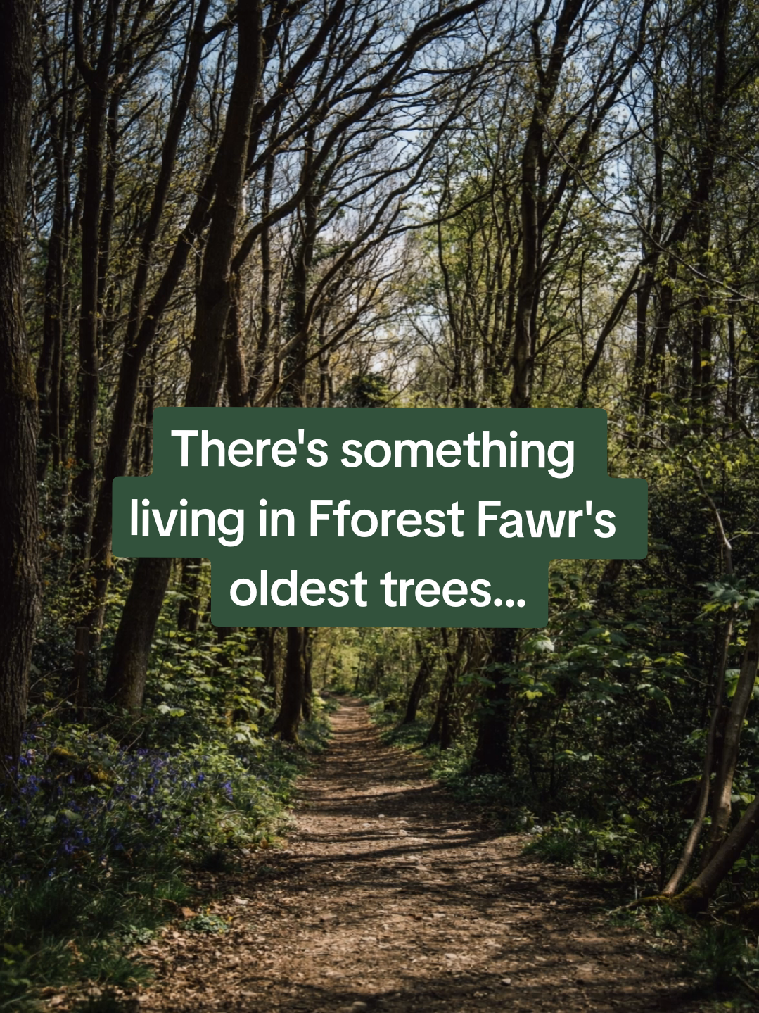 @Nick | Wales.org