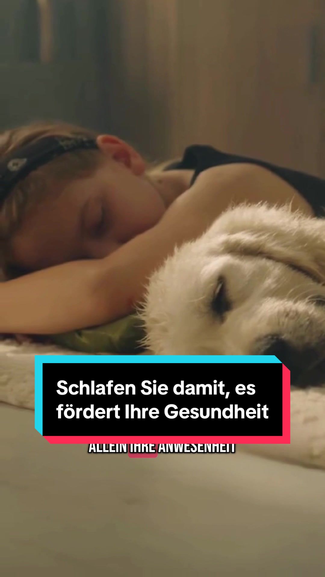 @Tiere kennen🐾