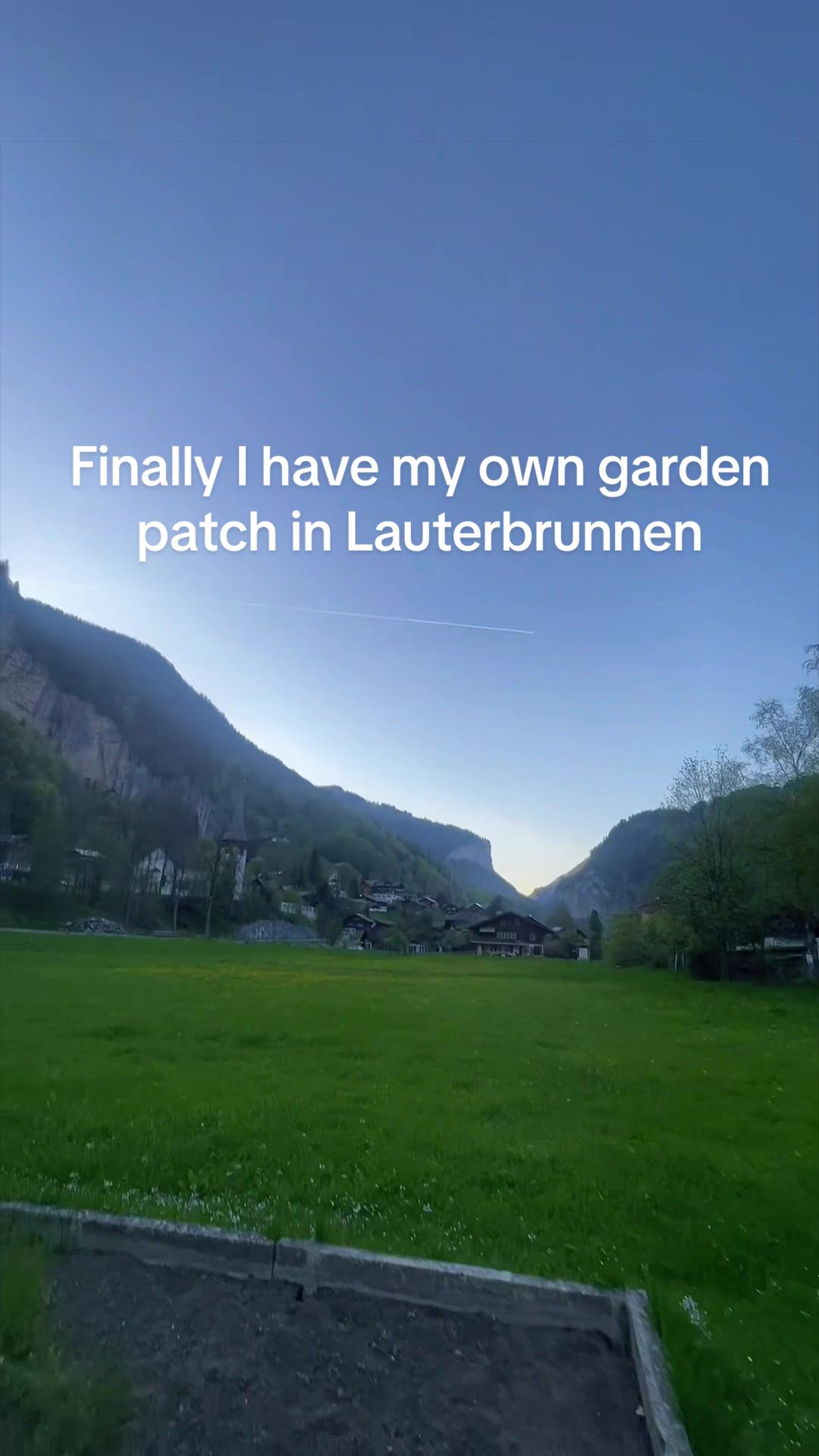 @SwissForestElf