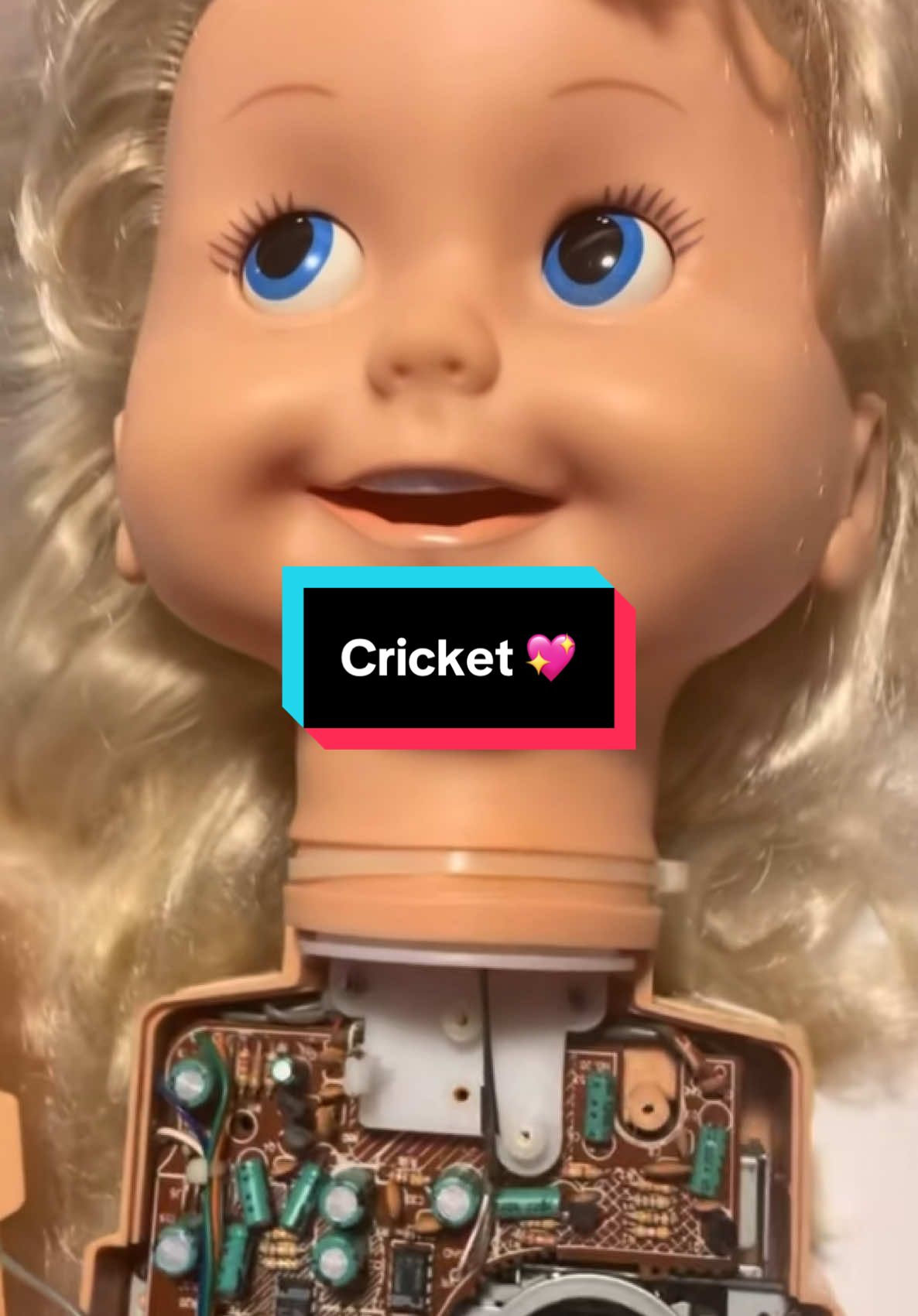@Cricketgirl1985
