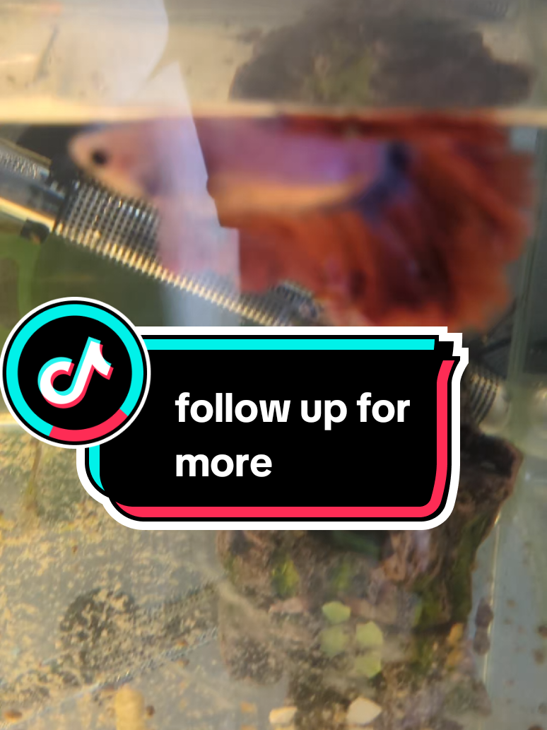 @Jack and Dorothy