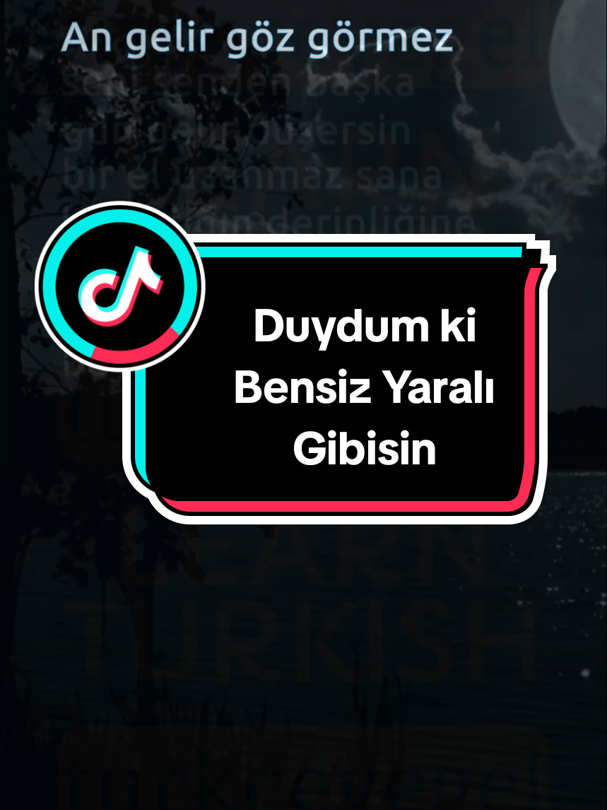 @Learn Turkish with T&uuml;rk&ccedil;eyeGel