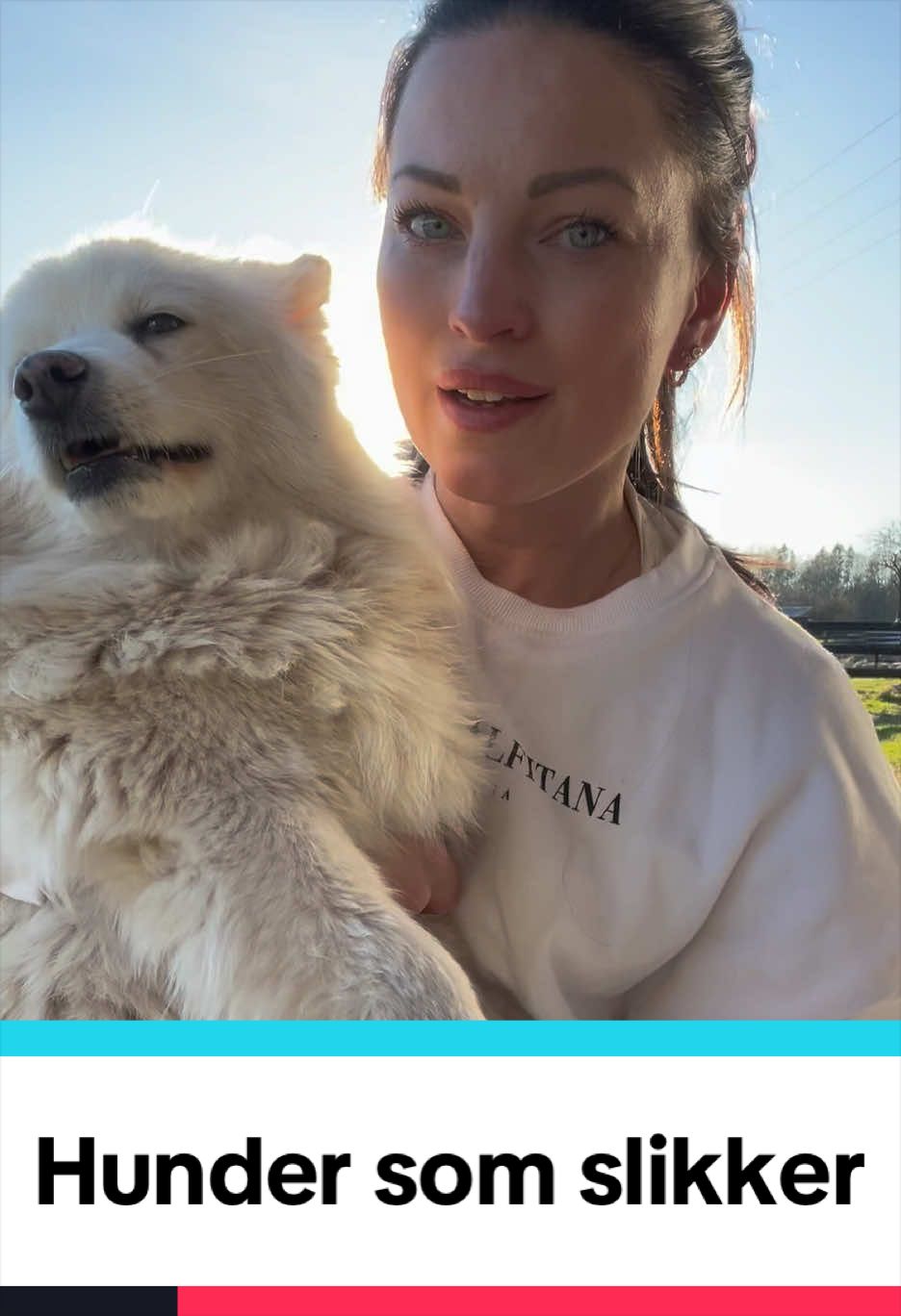 @dr.aya.vet