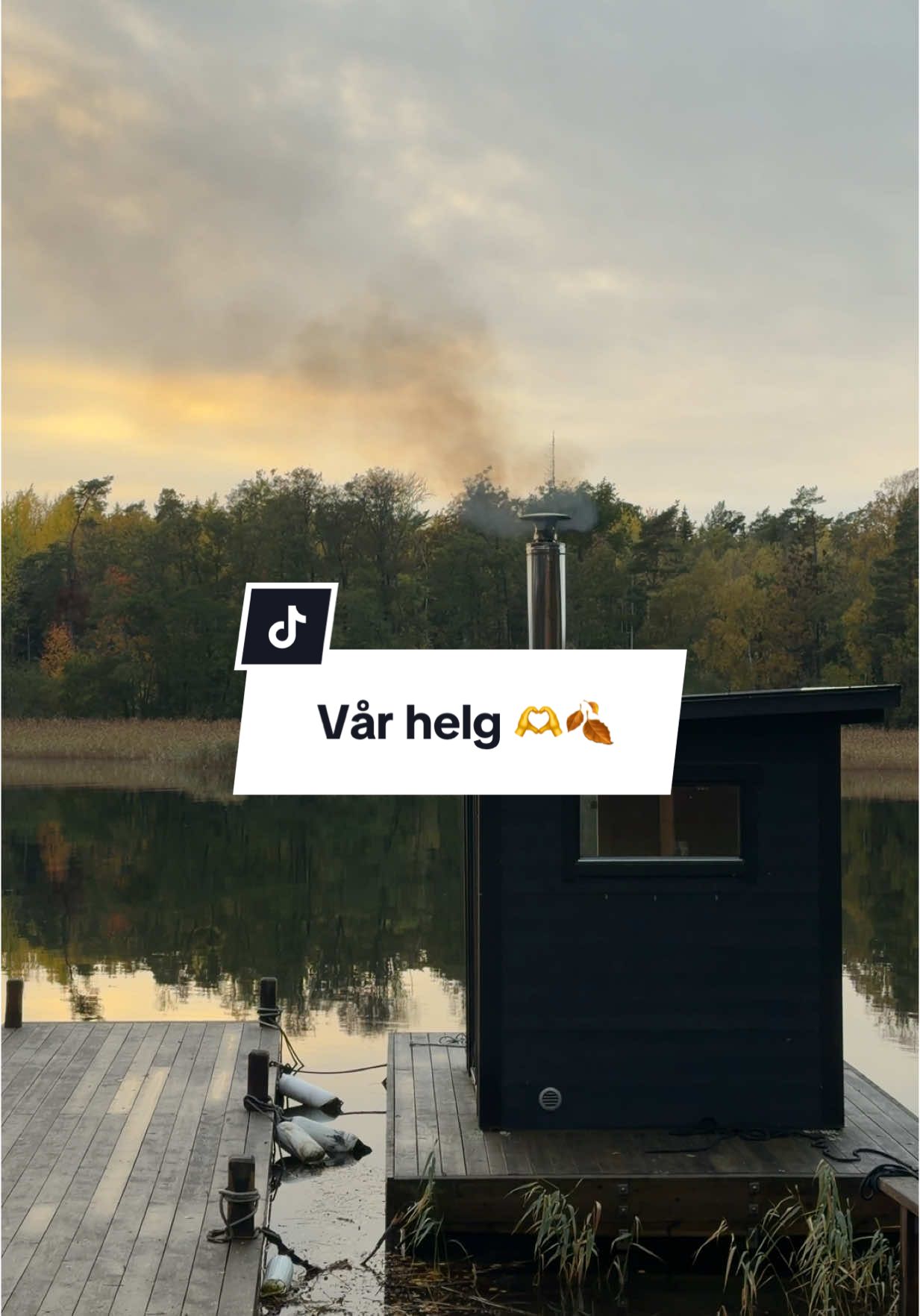 @tilda.koenig