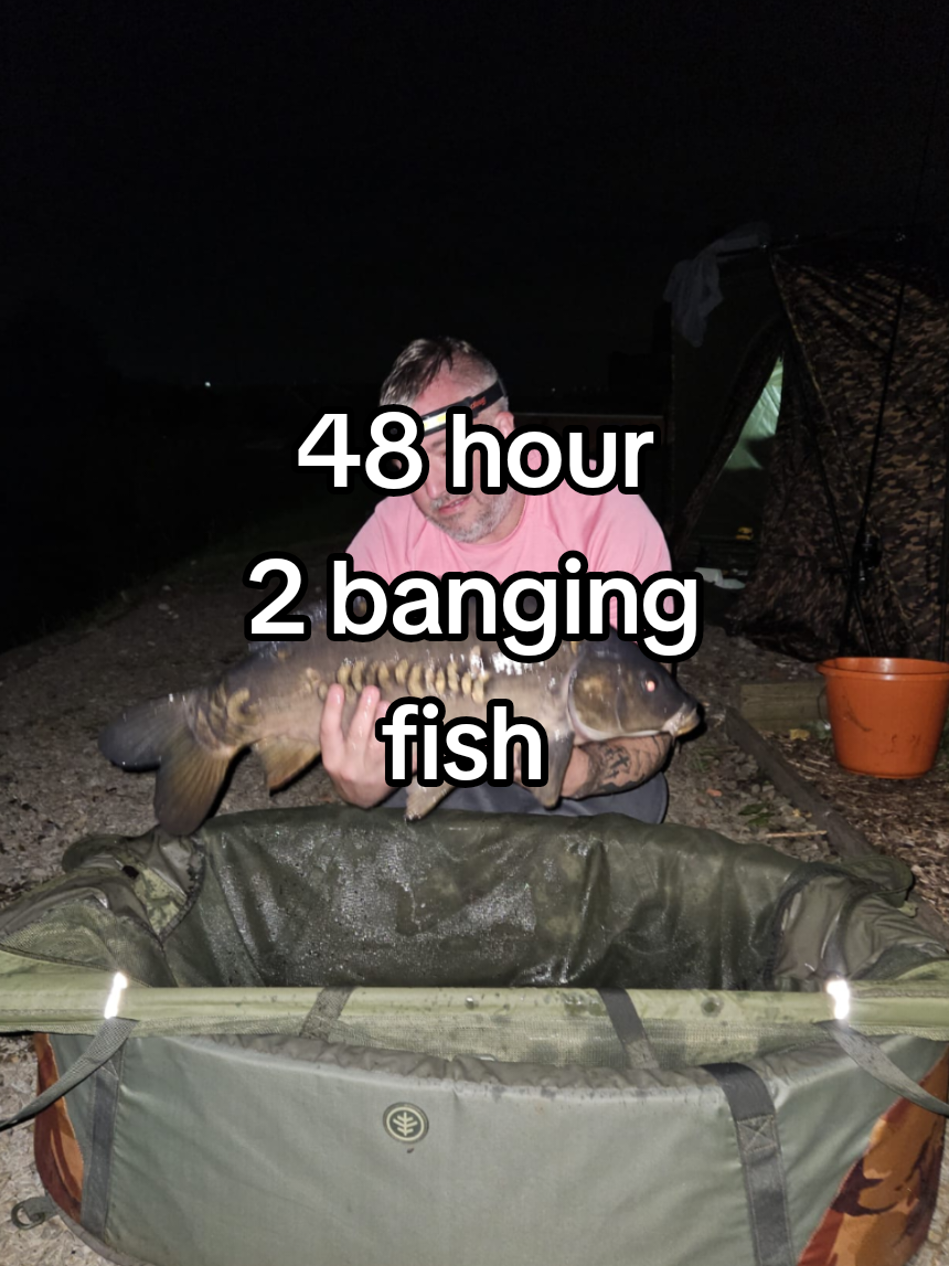 @Fish-To-Forget