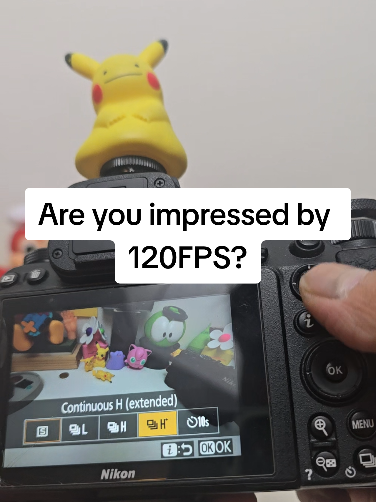 @I Export JPGs