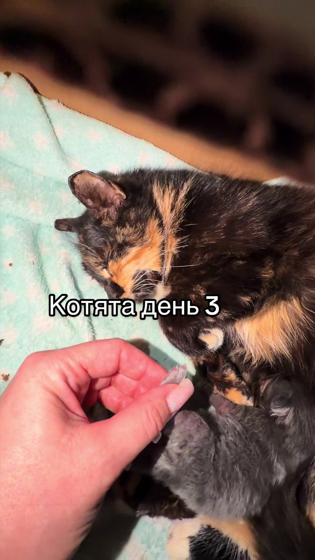 @Тома из вЁски