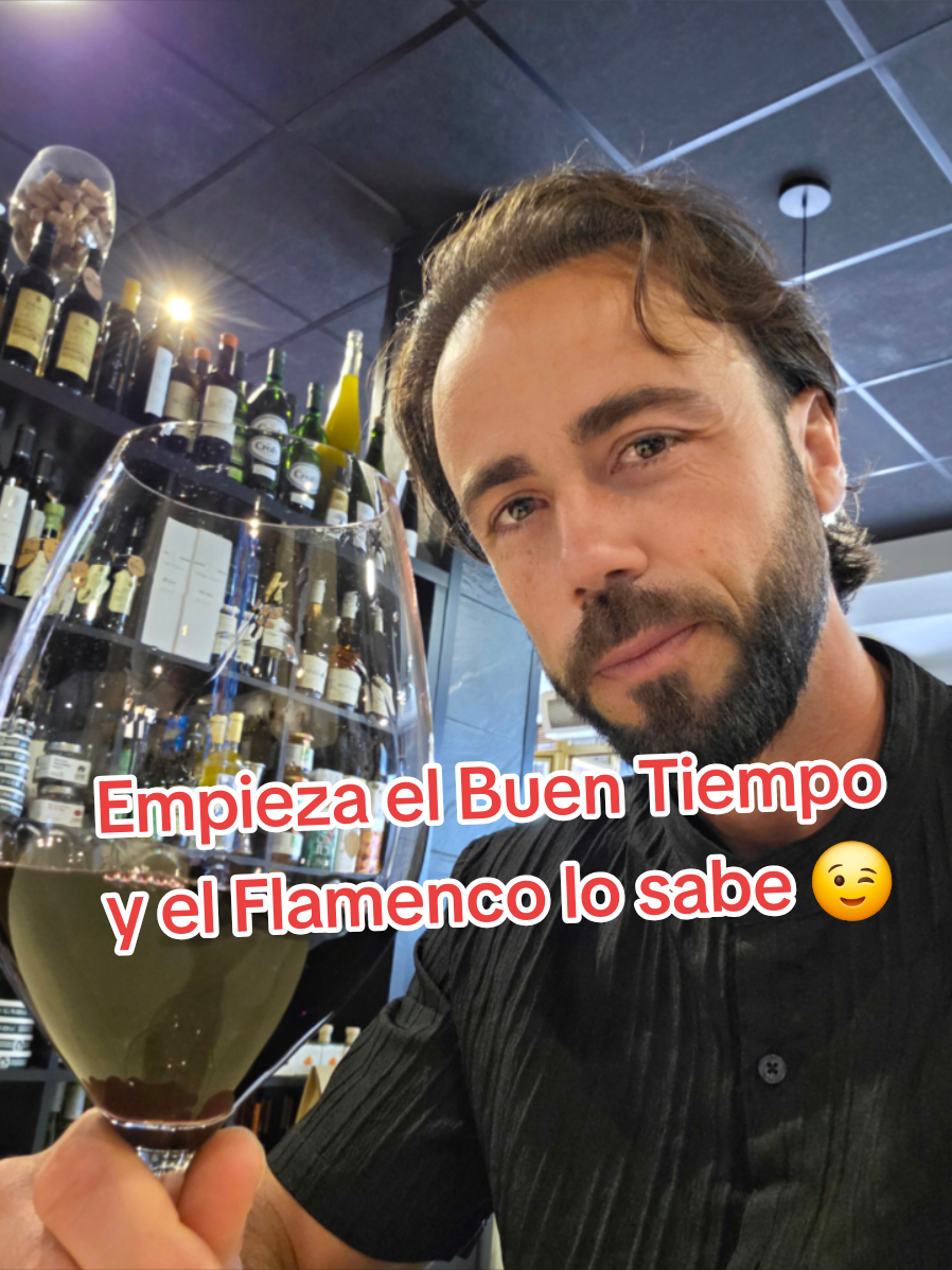 @Mario de los Santos Flamenco