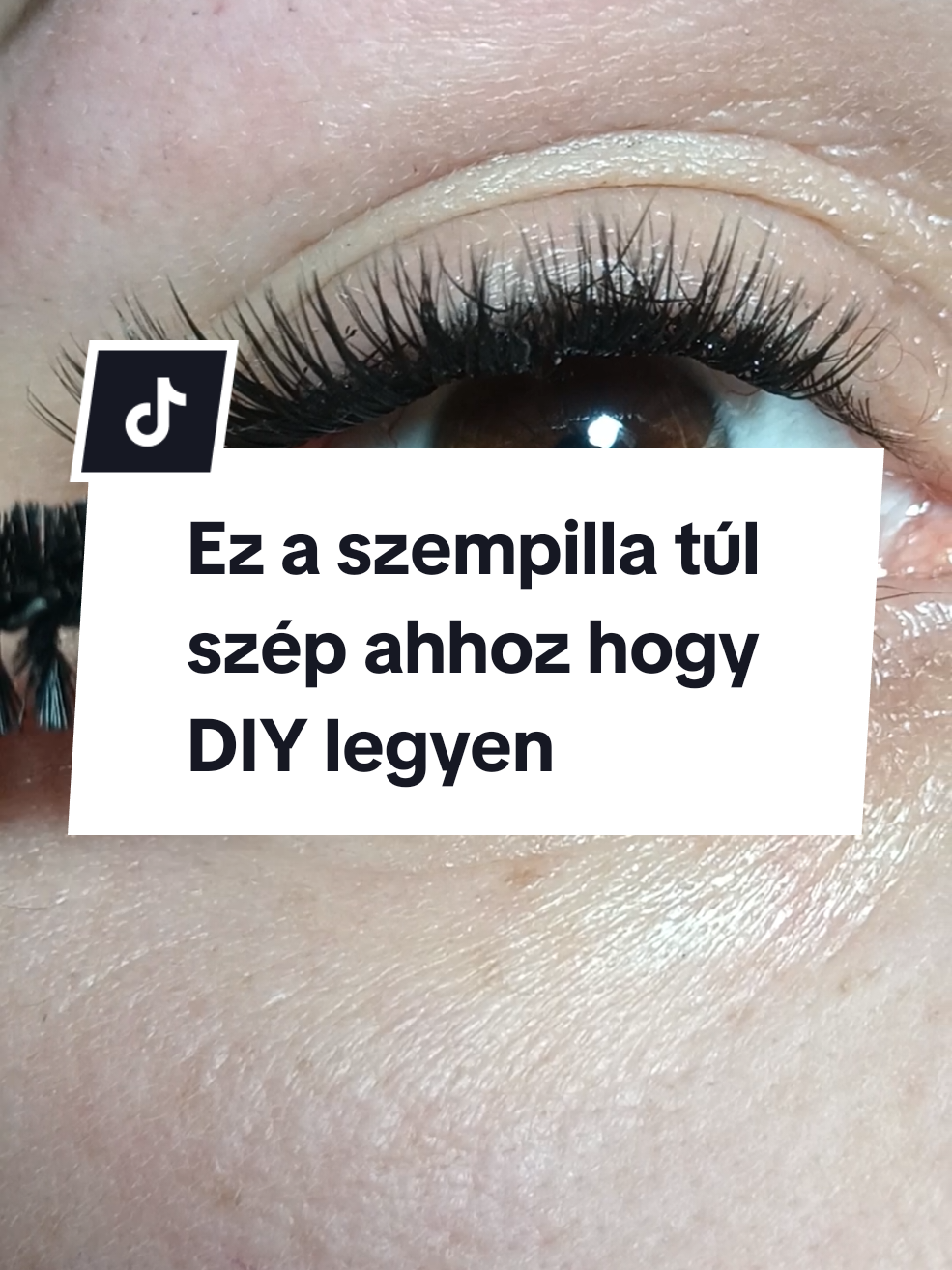 @LashMara 🦋