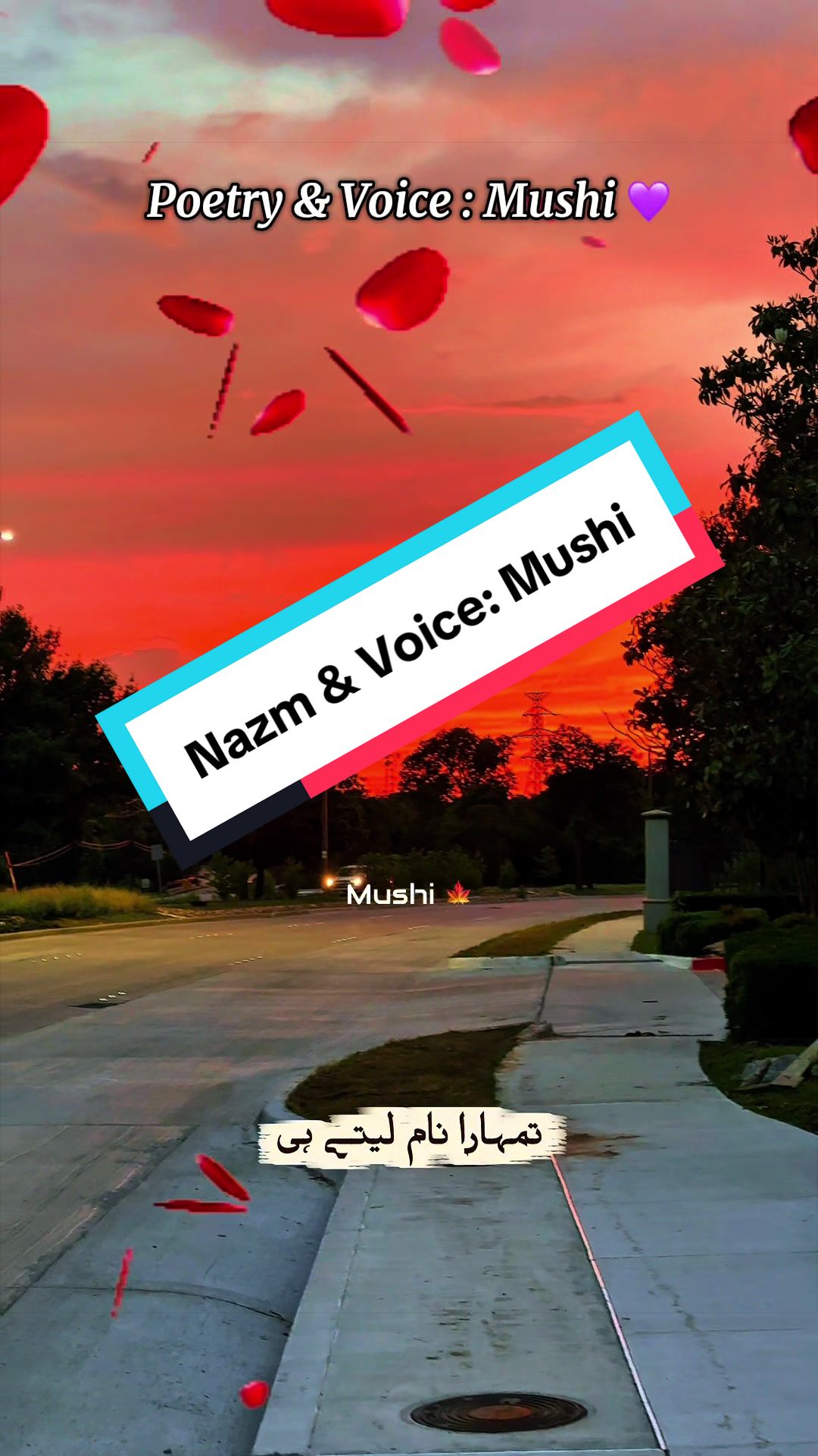 @Ayzal🍁Mushi