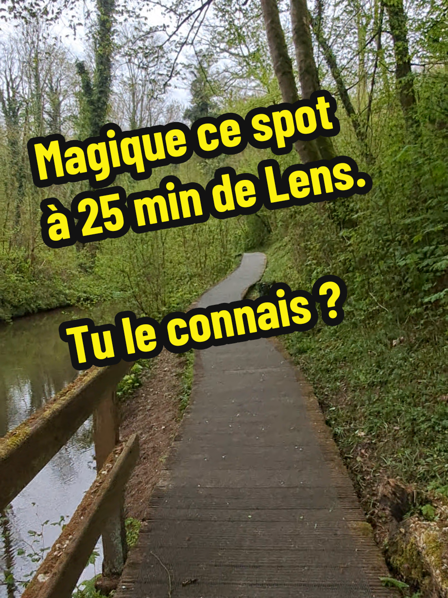 @Euchmath