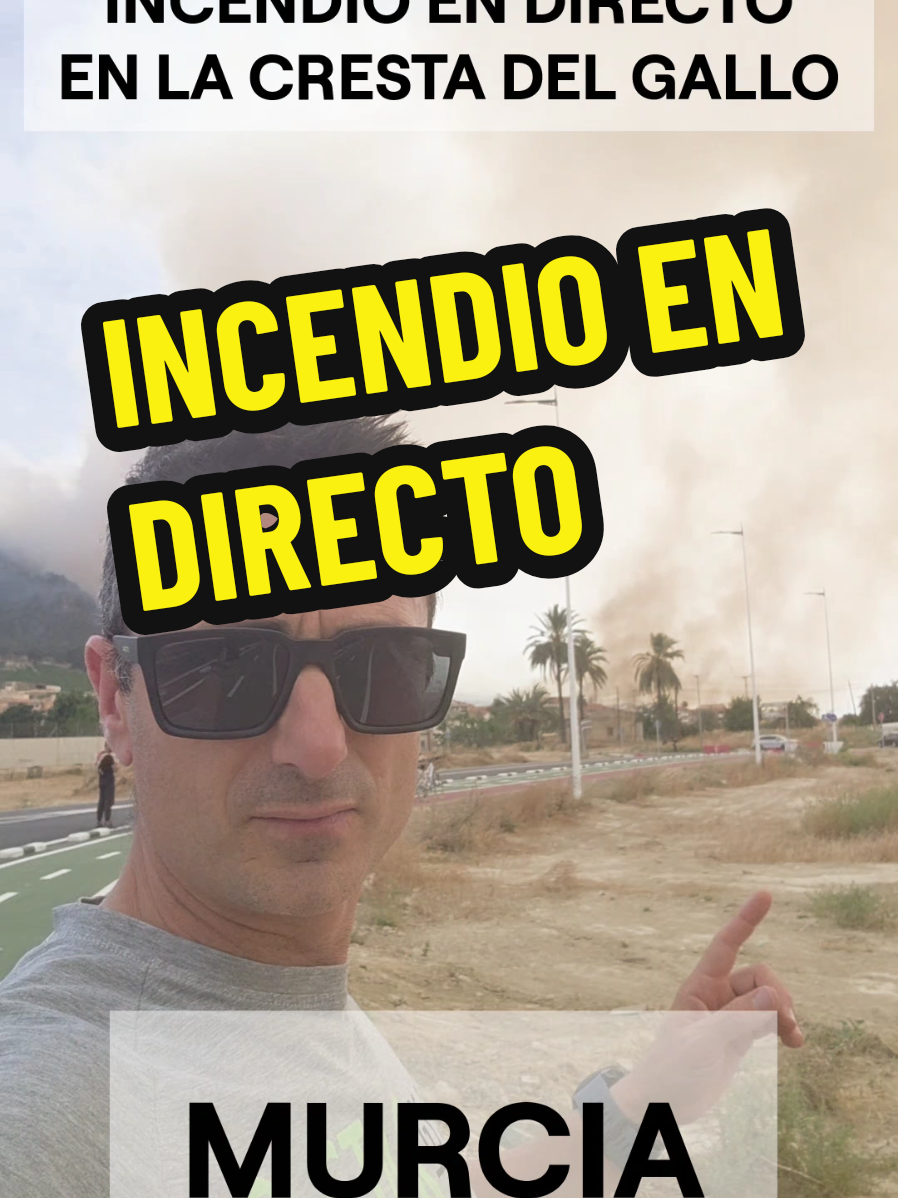 @Miguel ASSAL
