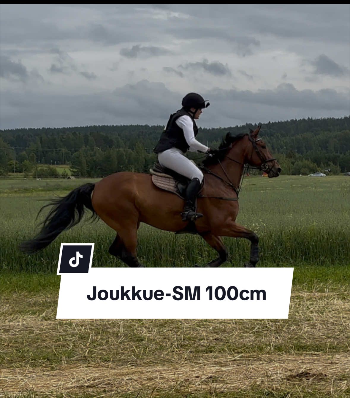 @Mansikkamäki Eventing