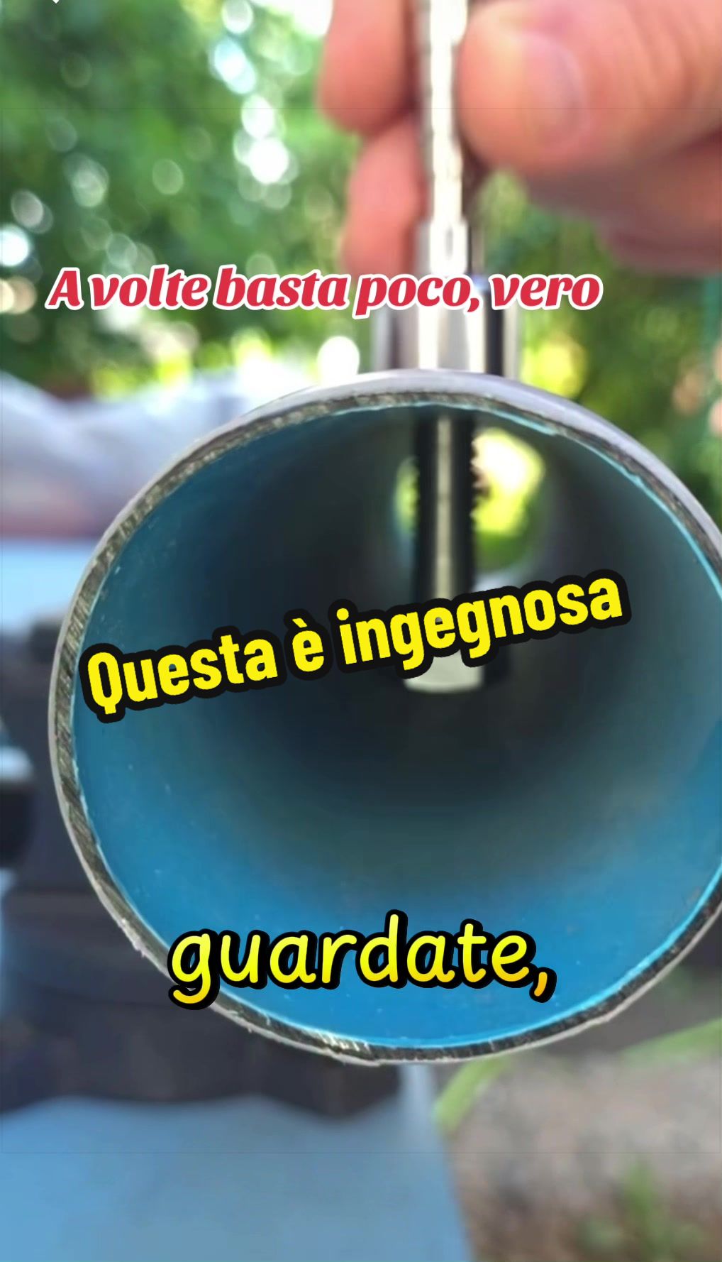 @Alessandro Cuomo ♌️