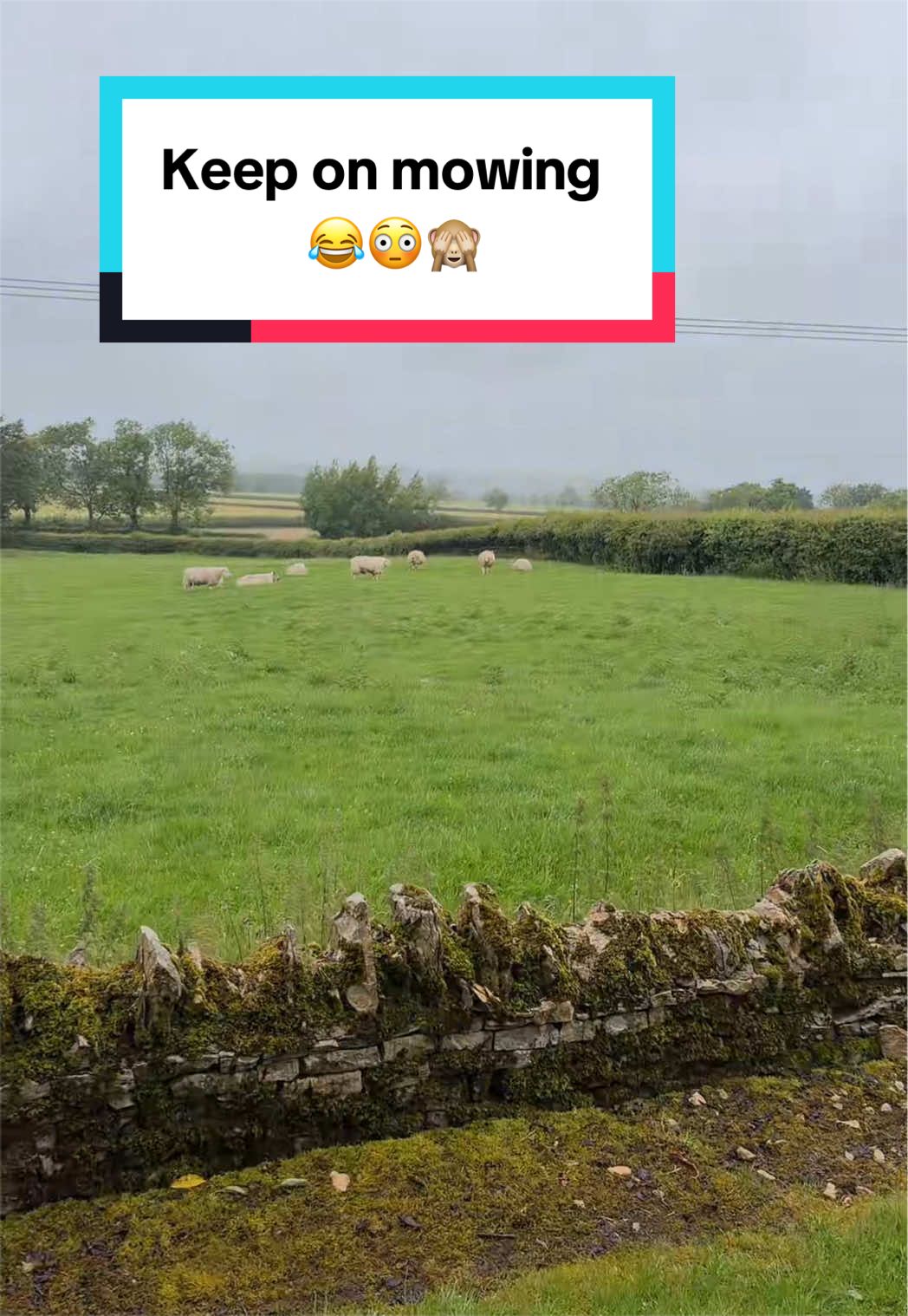 @franie’s Cotswold life