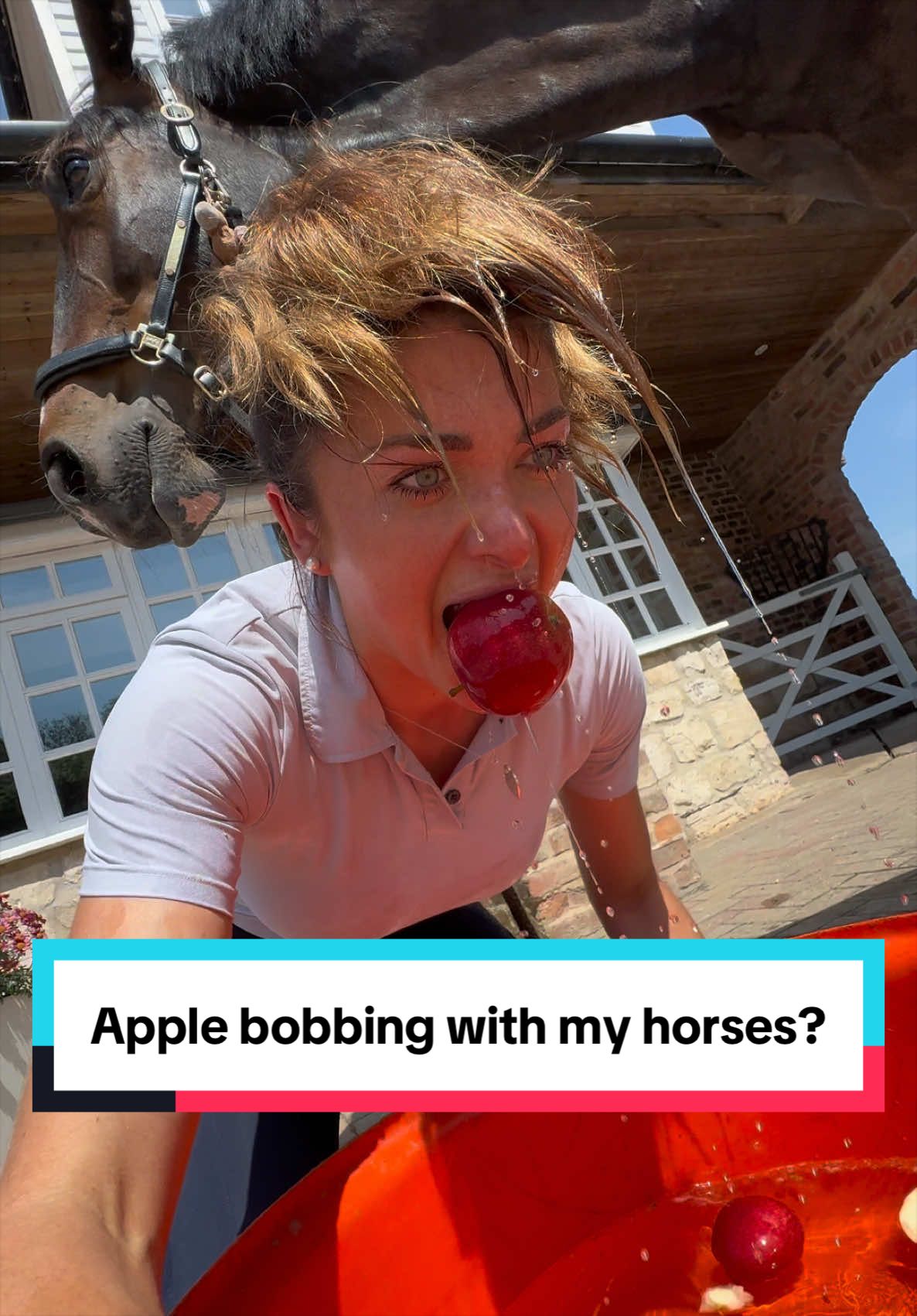 @Phoebe Scholtens