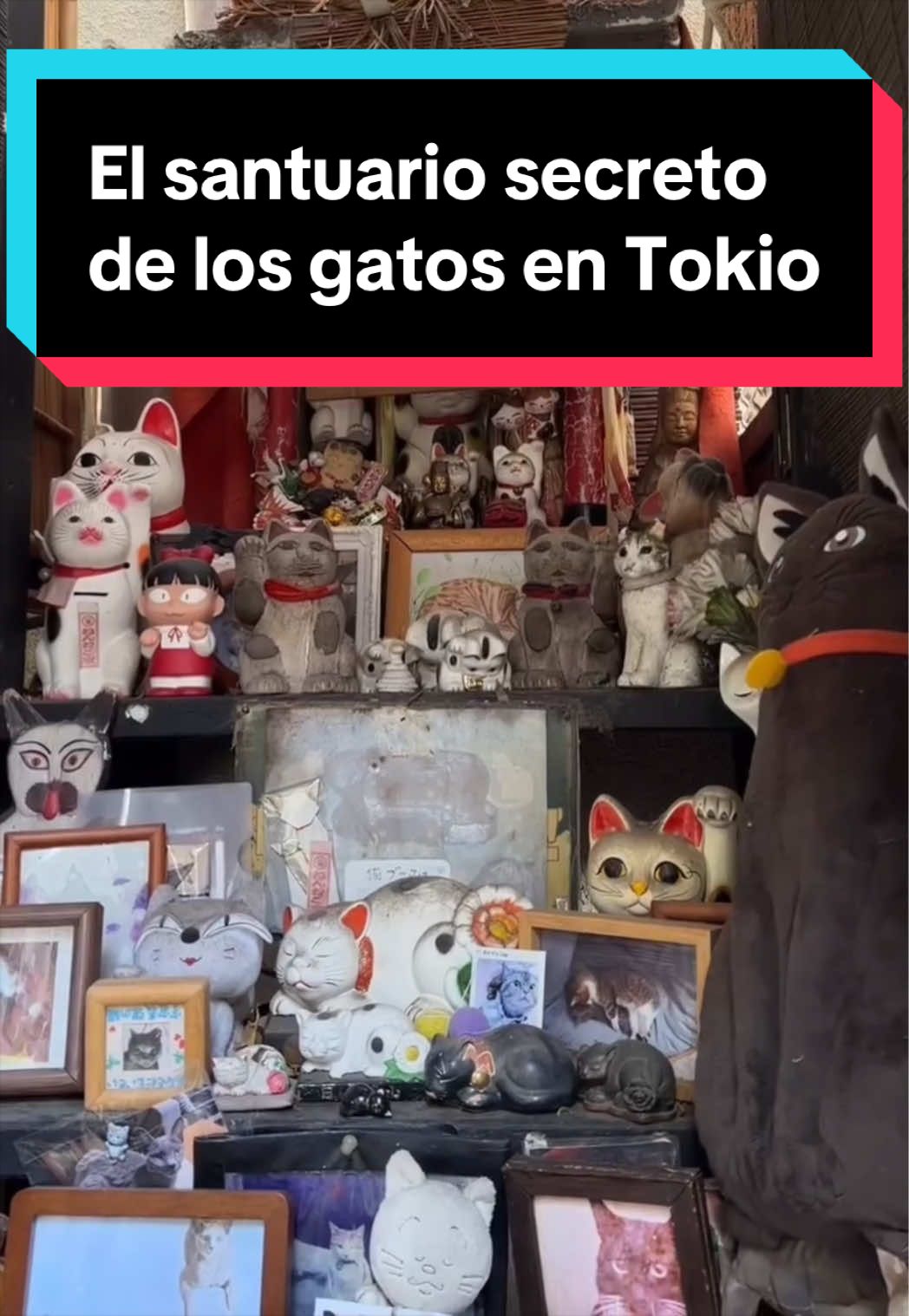 @Jap&oacute;n Alternativo