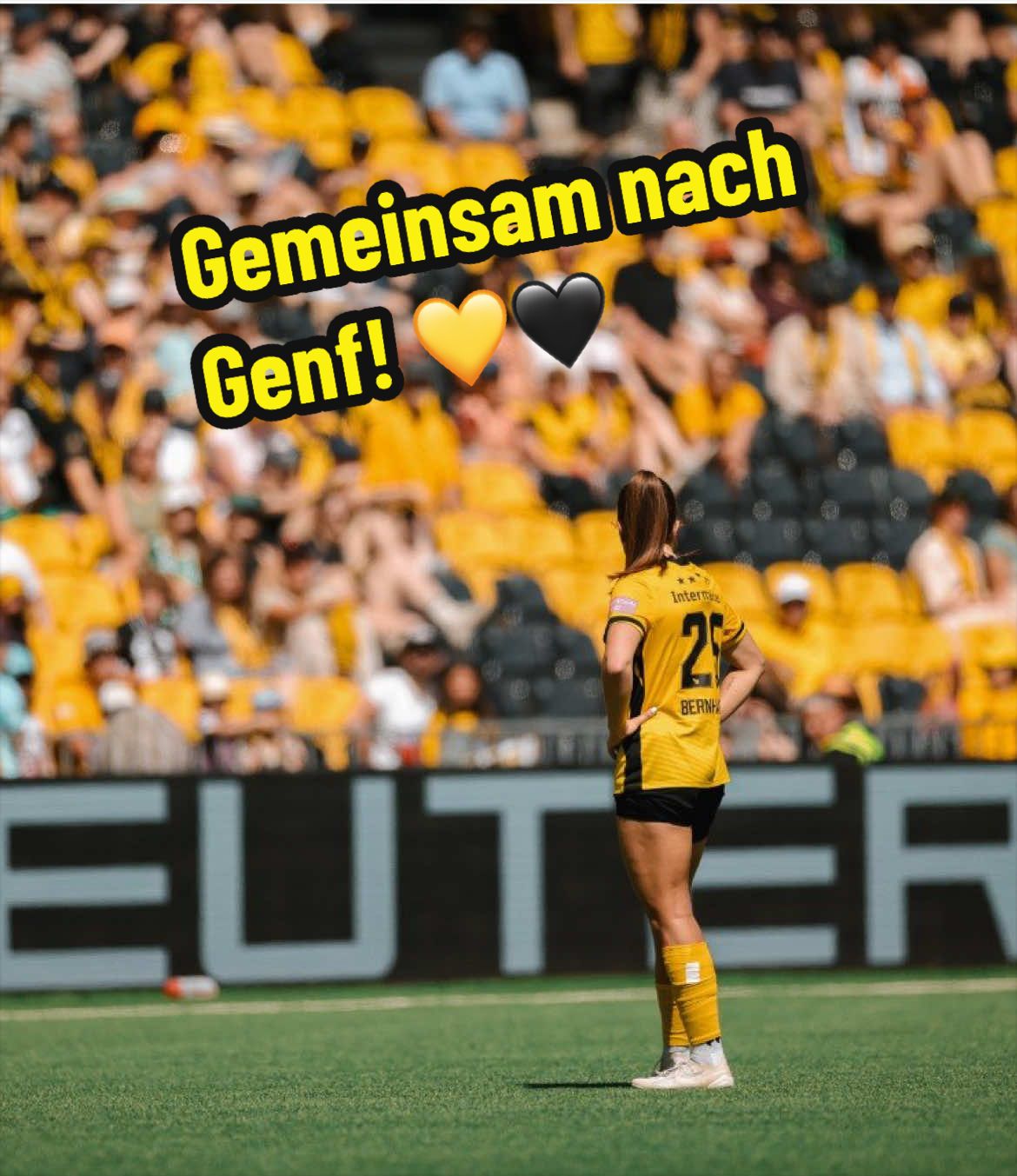 @BSC YOUNG BOYS