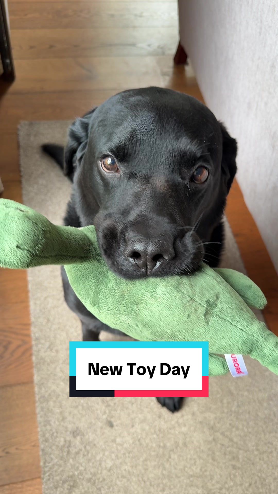 @Denzel The Labraseal