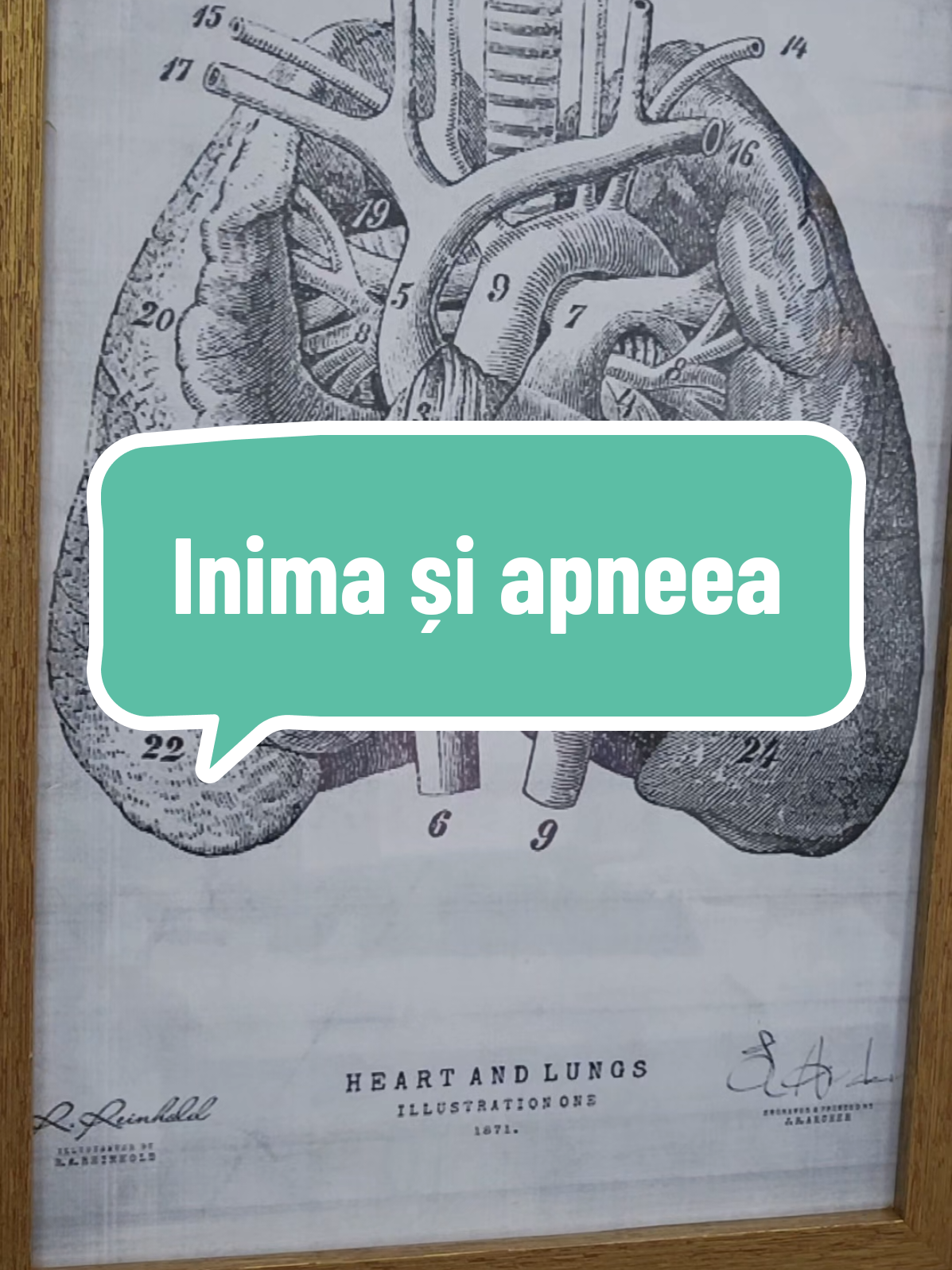 @Dr. Marius Sava