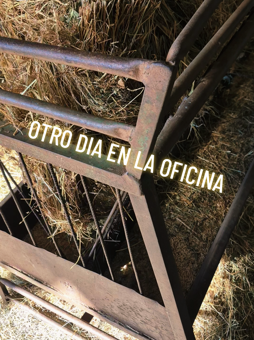 @lamujerdesastre