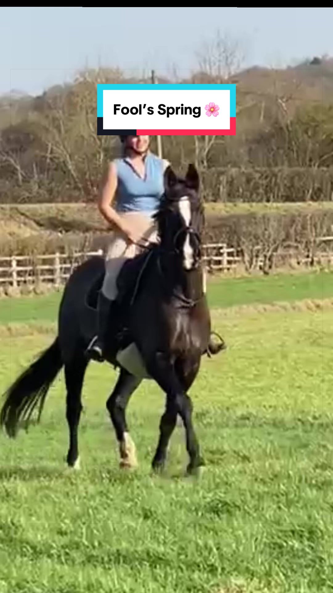 @Horses_with_Narni