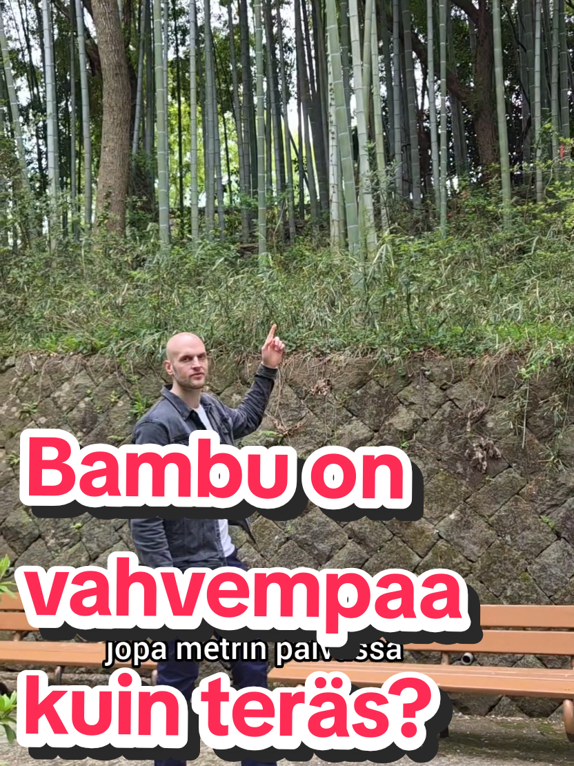 @Vesko