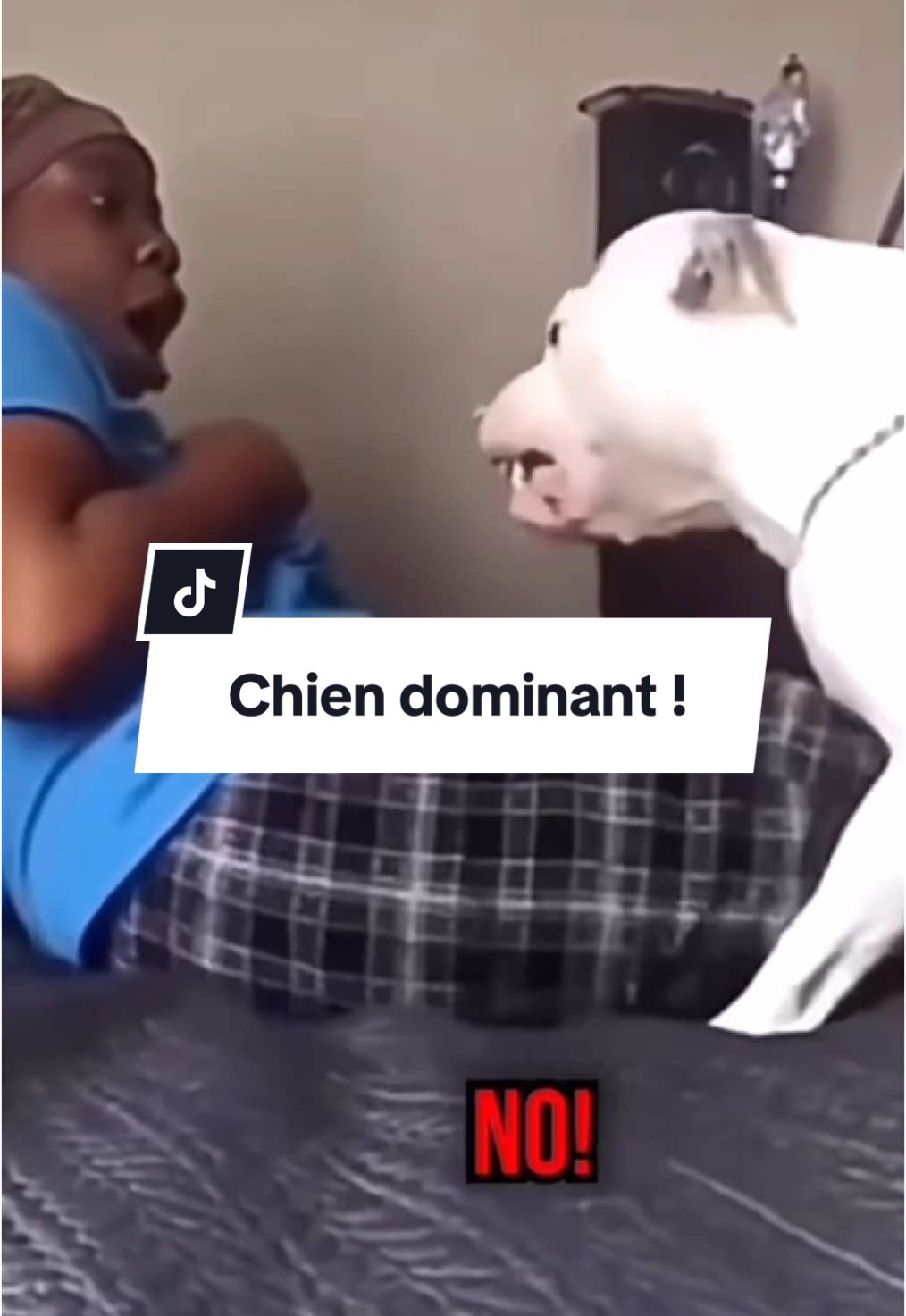@urgence.annonce
