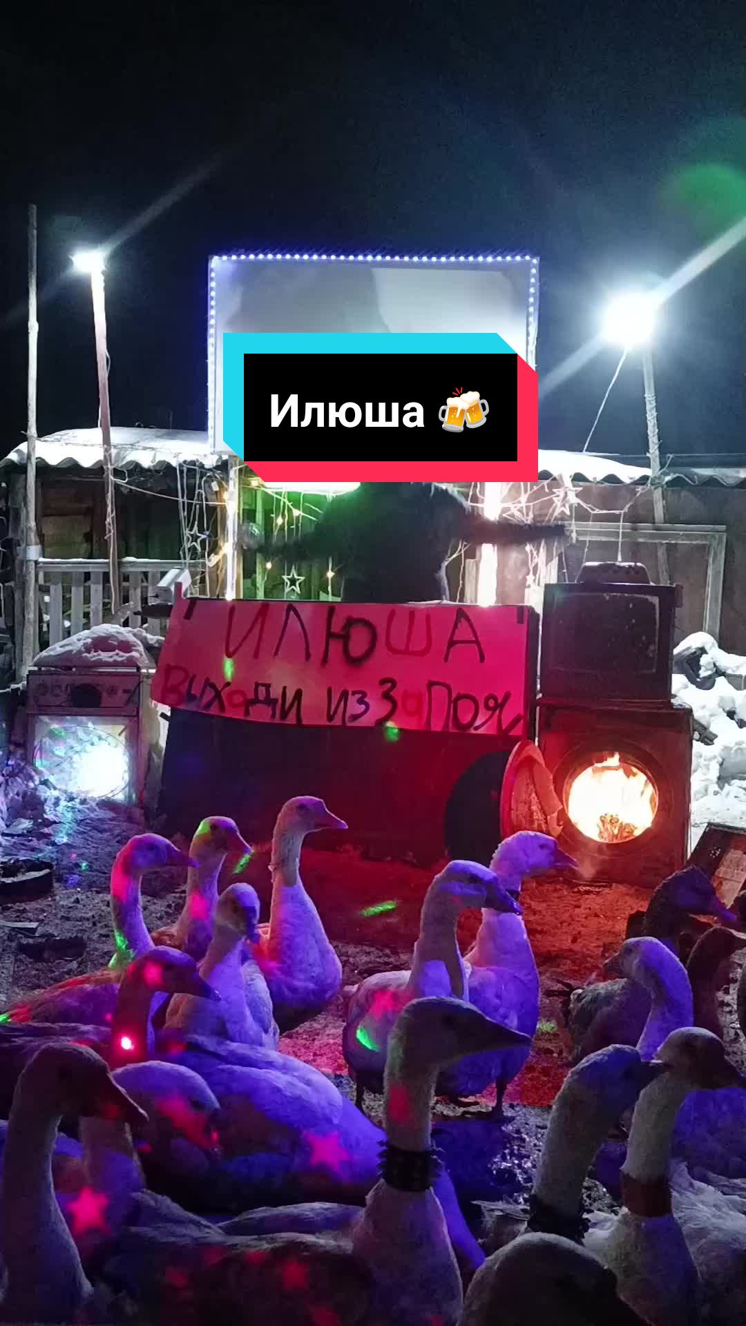@Гусиные поздравления