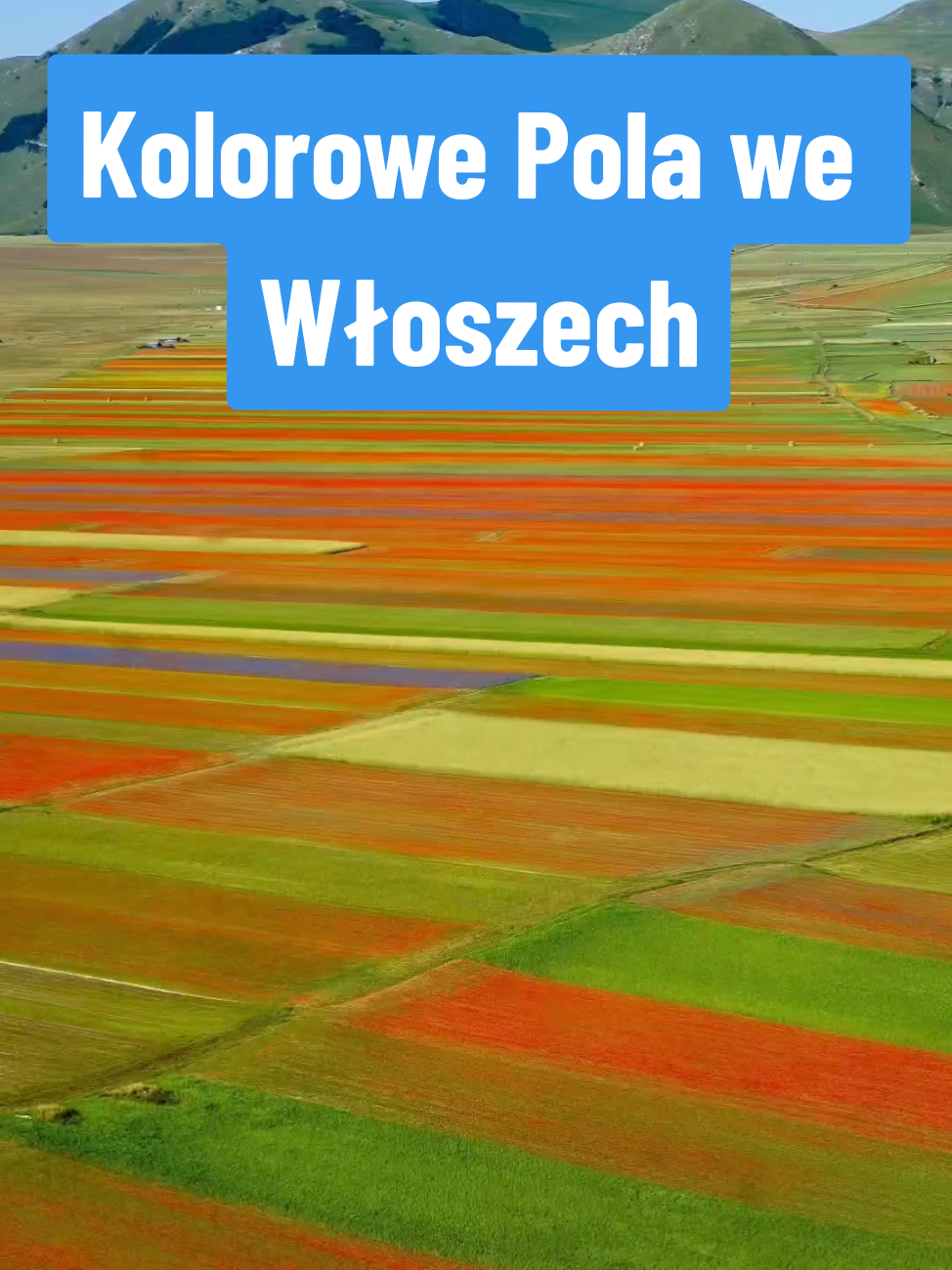 @Ciekawostkowo