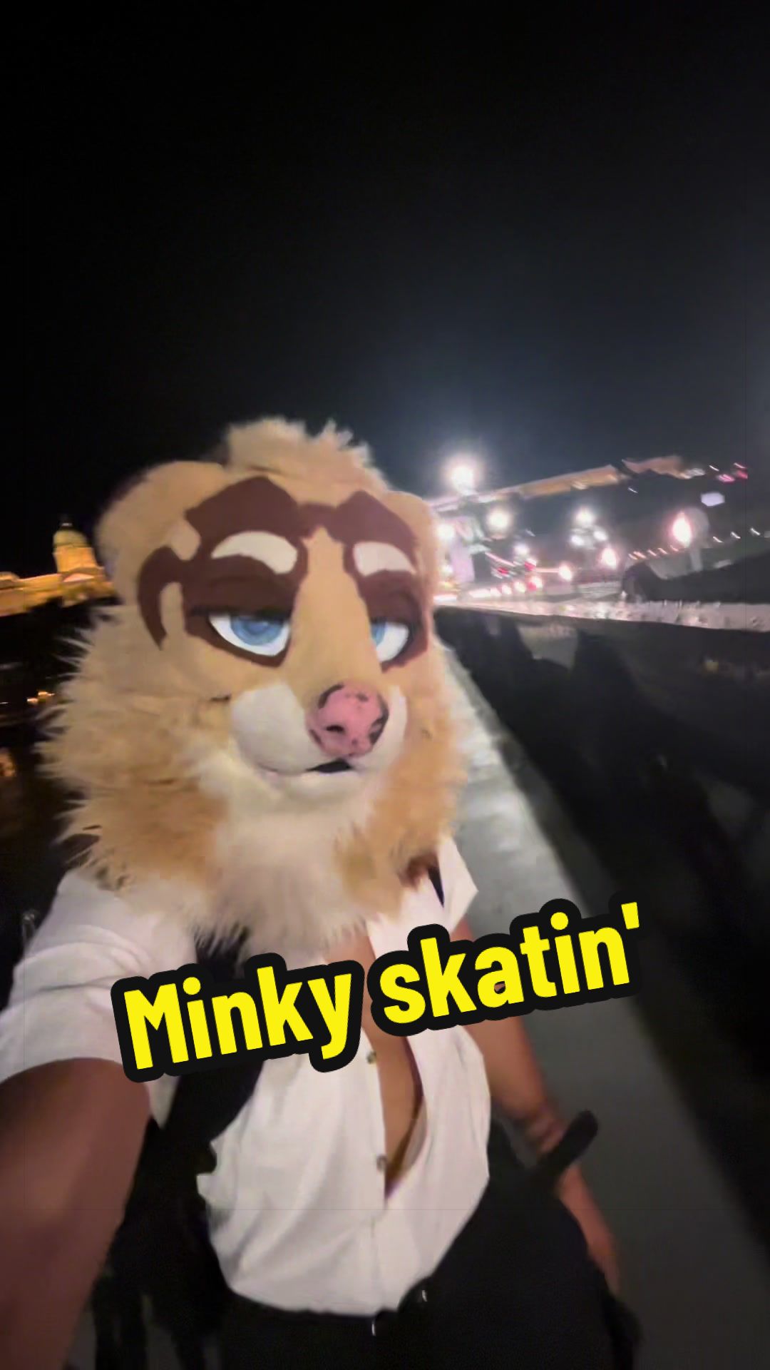 @untamed_mink_guy