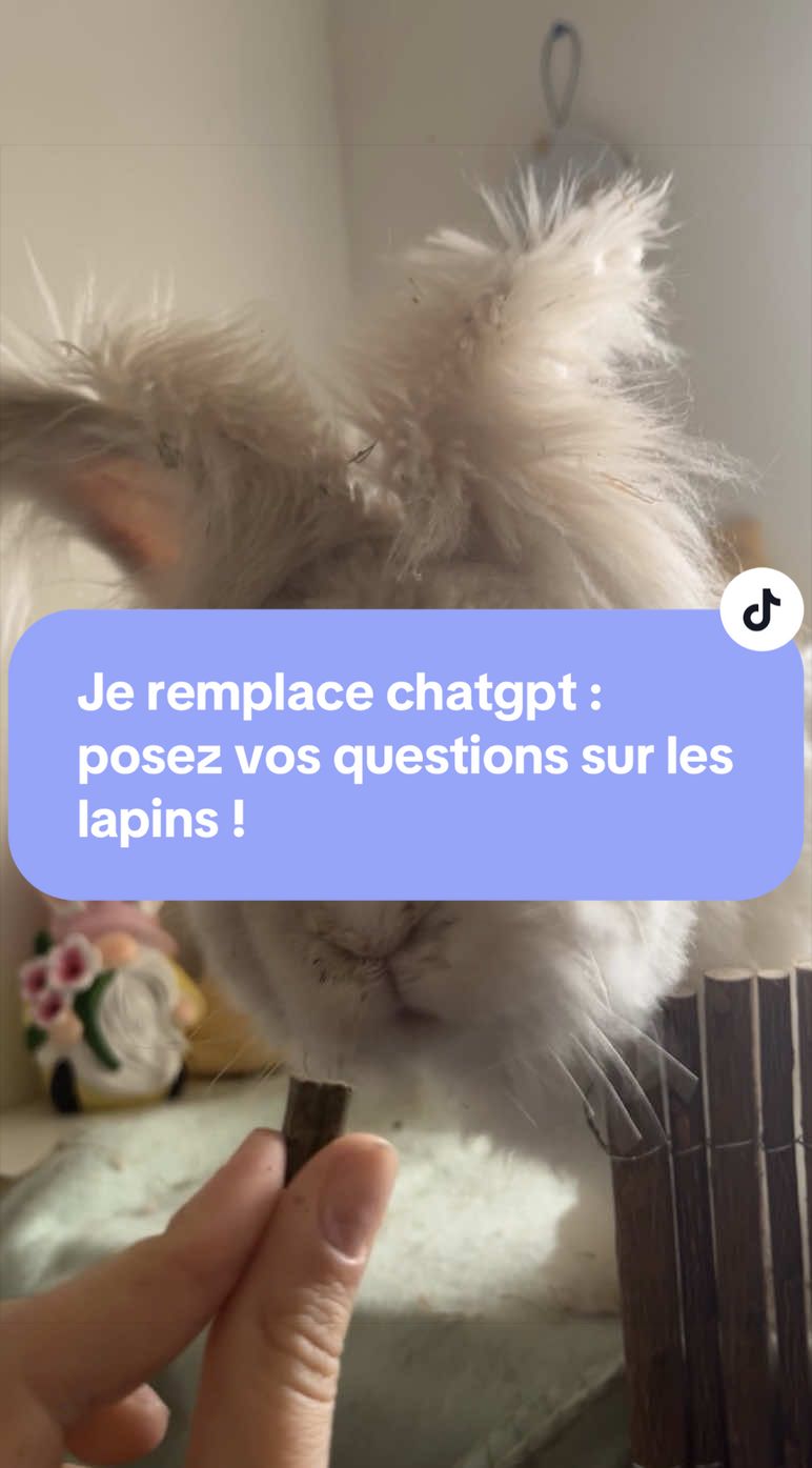 @Mes lapinouchs 🐰
