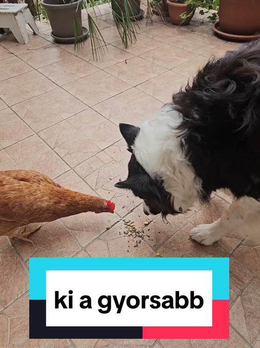 @Akt&iacute;van kuty&aacute;val