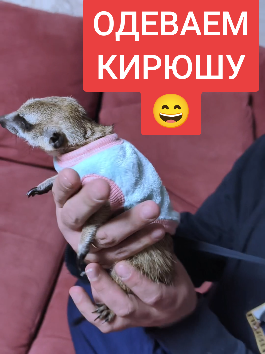 @Пухлый 🤣🤣