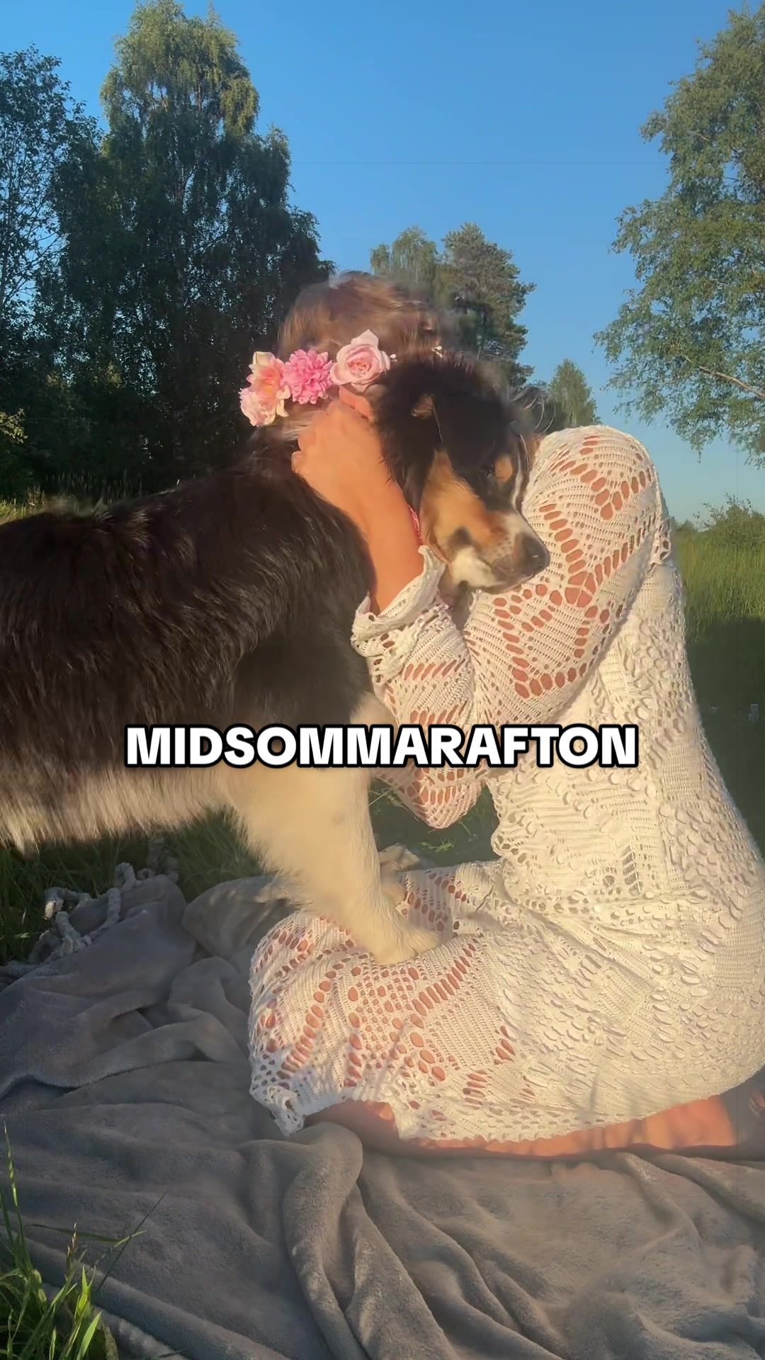 @Vilja - Australian Shepherd